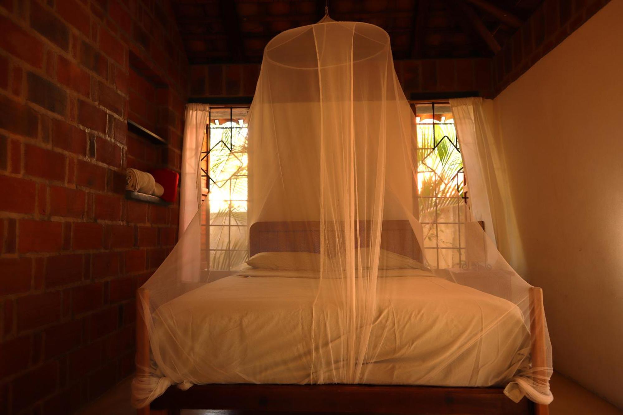 Hotel La Loma Linda, Bungalows, Yoga And Feldenkrais, Starlink Internet 2*