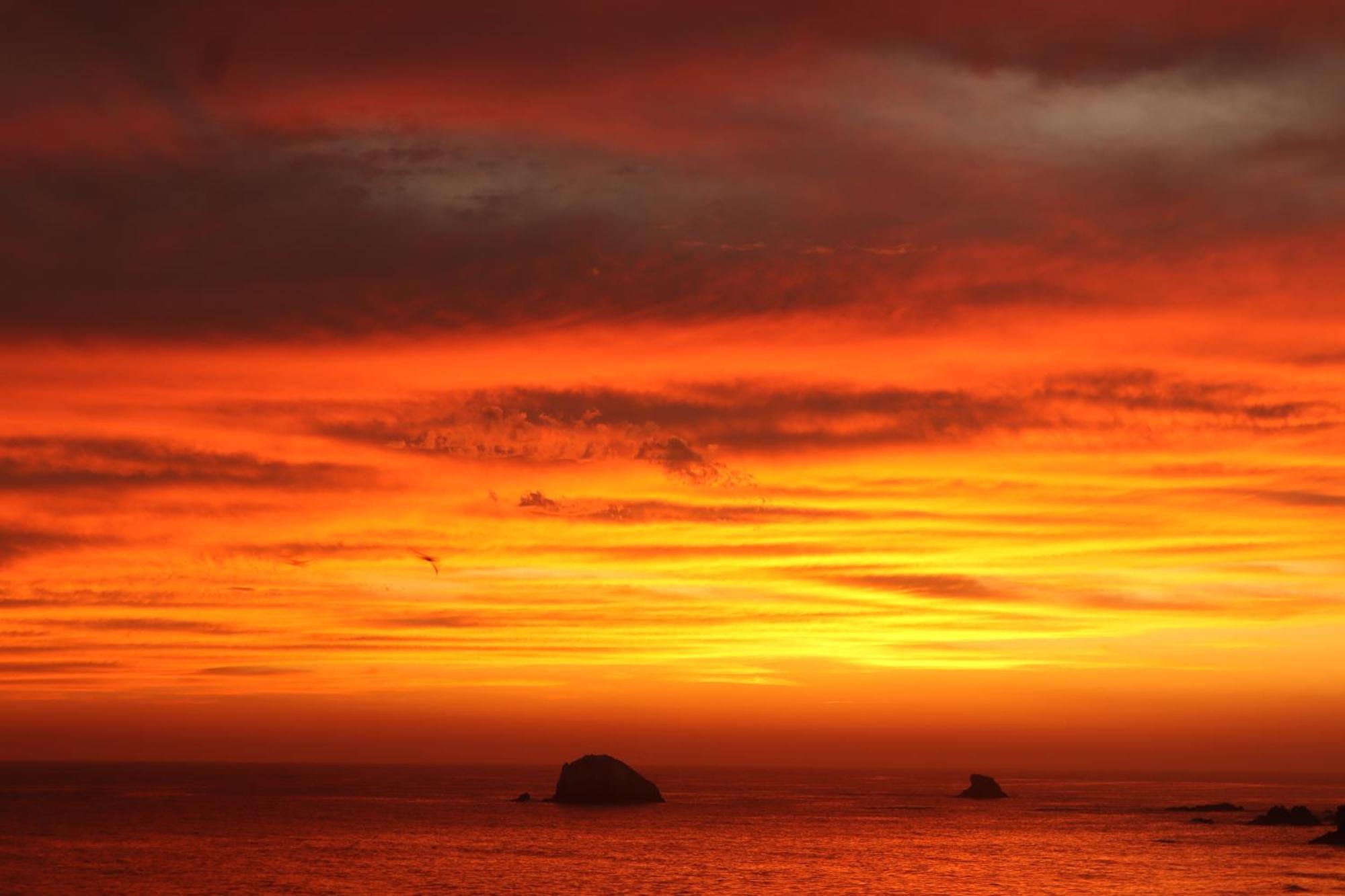 La Loma Linda, Bungalows, Yoga And Feldenkrais, Starlink Internet Hotel