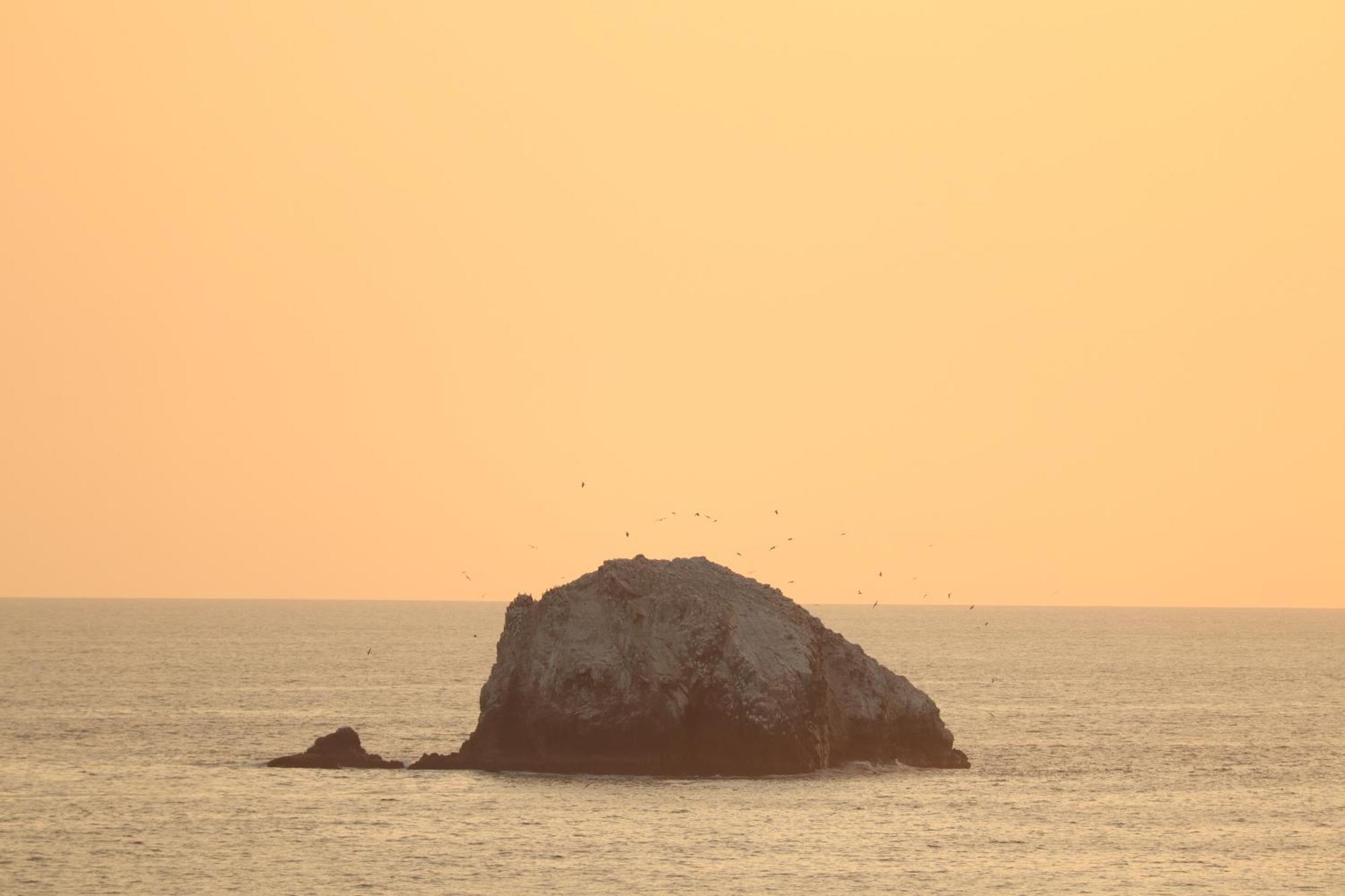 Hotel La Loma Linda, Bungalows, Yoga And Feldenkrais, Starlink Internet