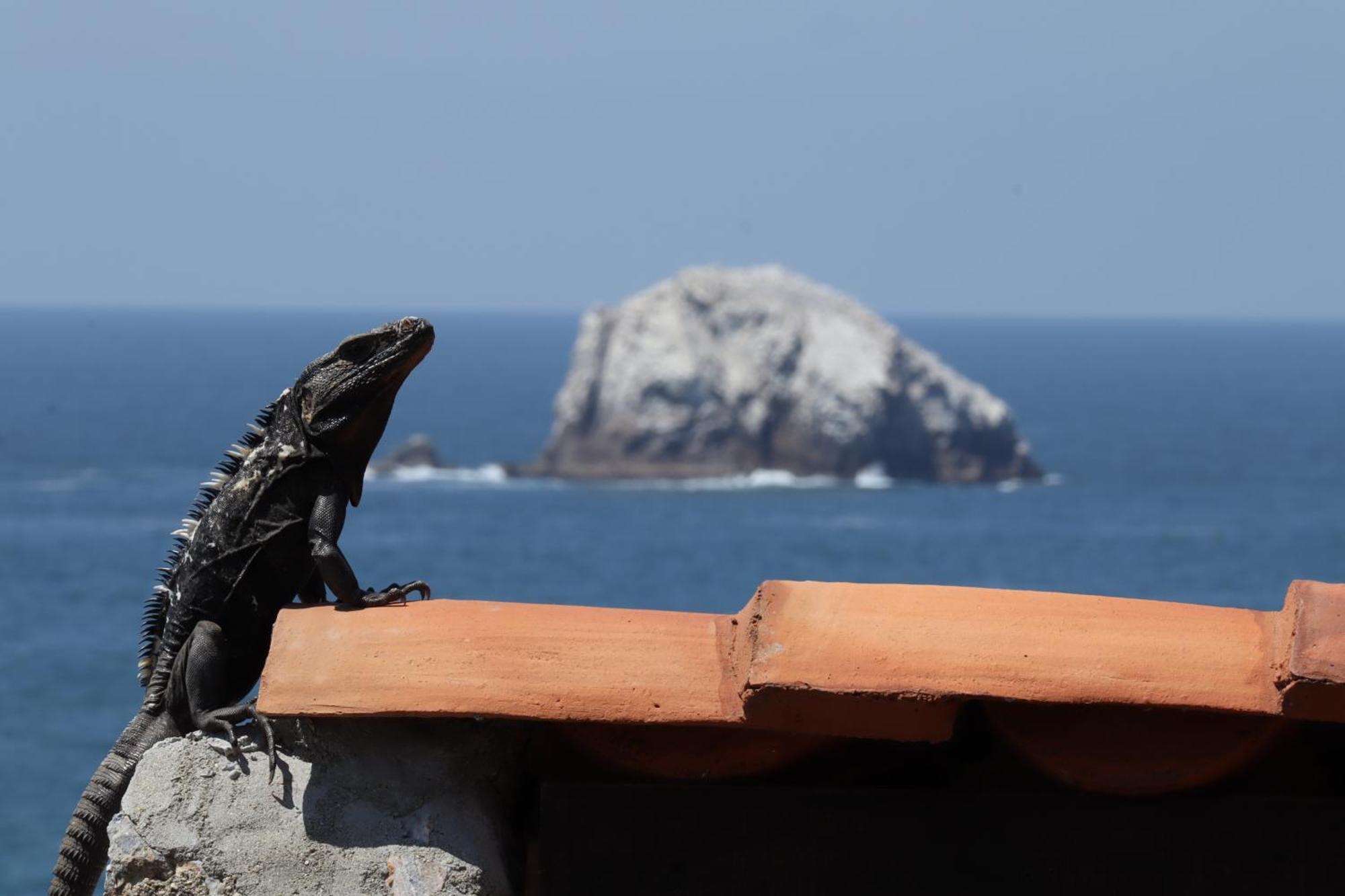 Hotel La Loma Linda, Bungalows, Yoga And Feldenkrais, Starlink Internet 2*