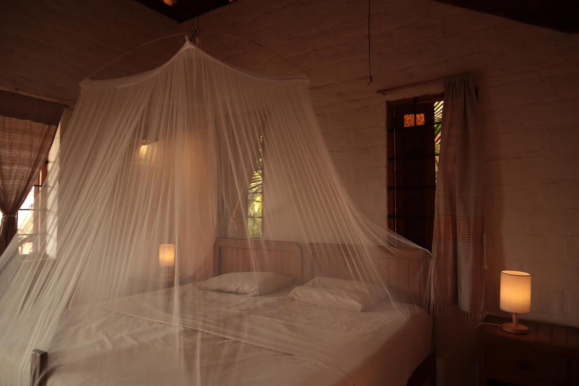 La Loma Linda, Bungalows, Yoga And Feldenkrais, Starlink Internet 2* Zipolite