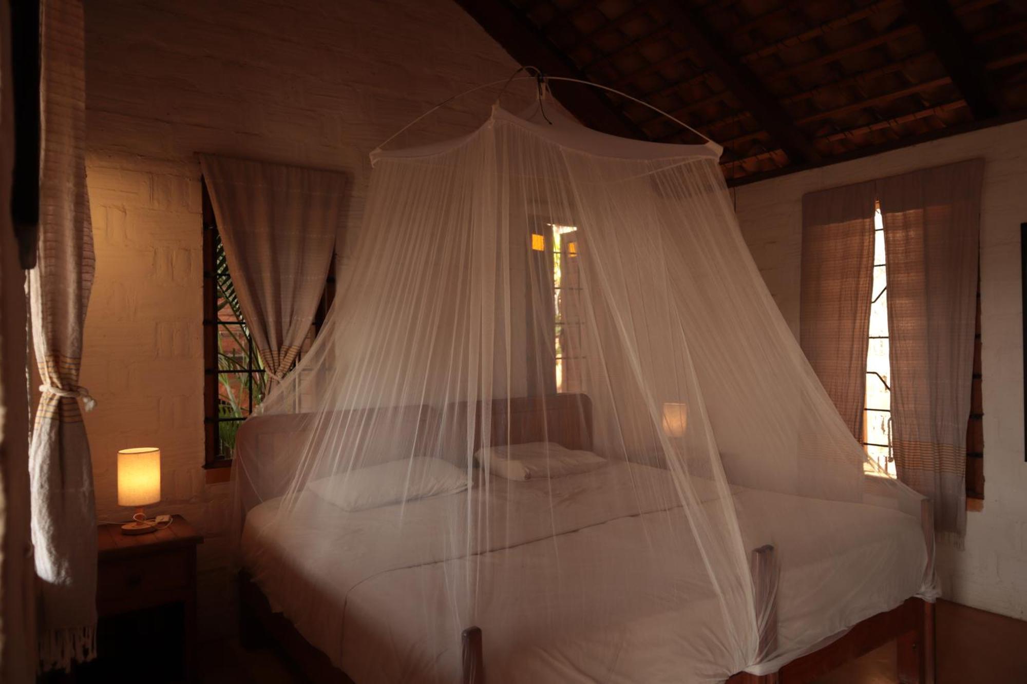 La Loma Linda, Bungalows, Yoga And Feldenkrais, Starlink Internet