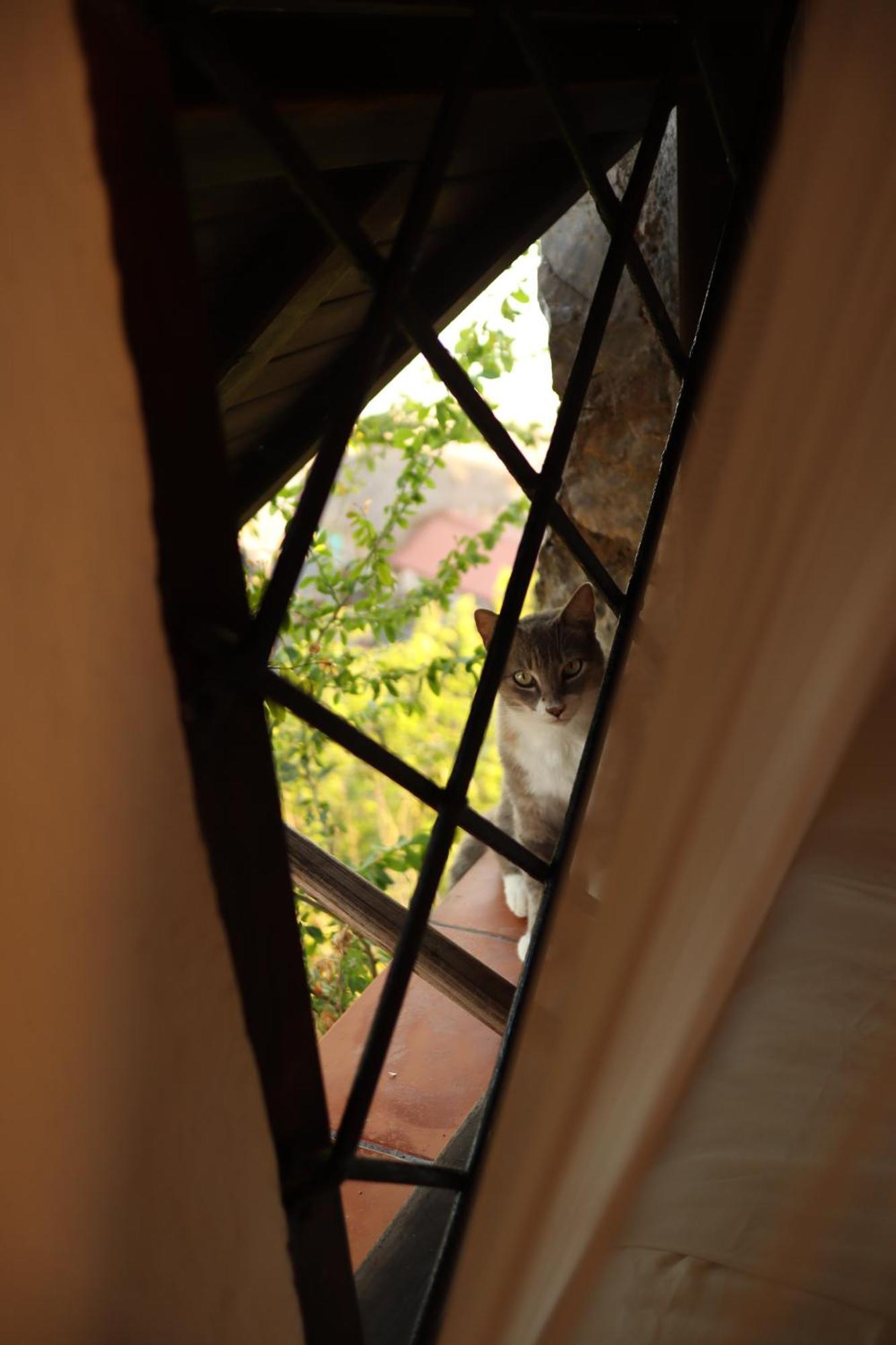 La Loma Linda, Bungalows, Yoga And Feldenkrais, Starlink Internet 2* Zipolite