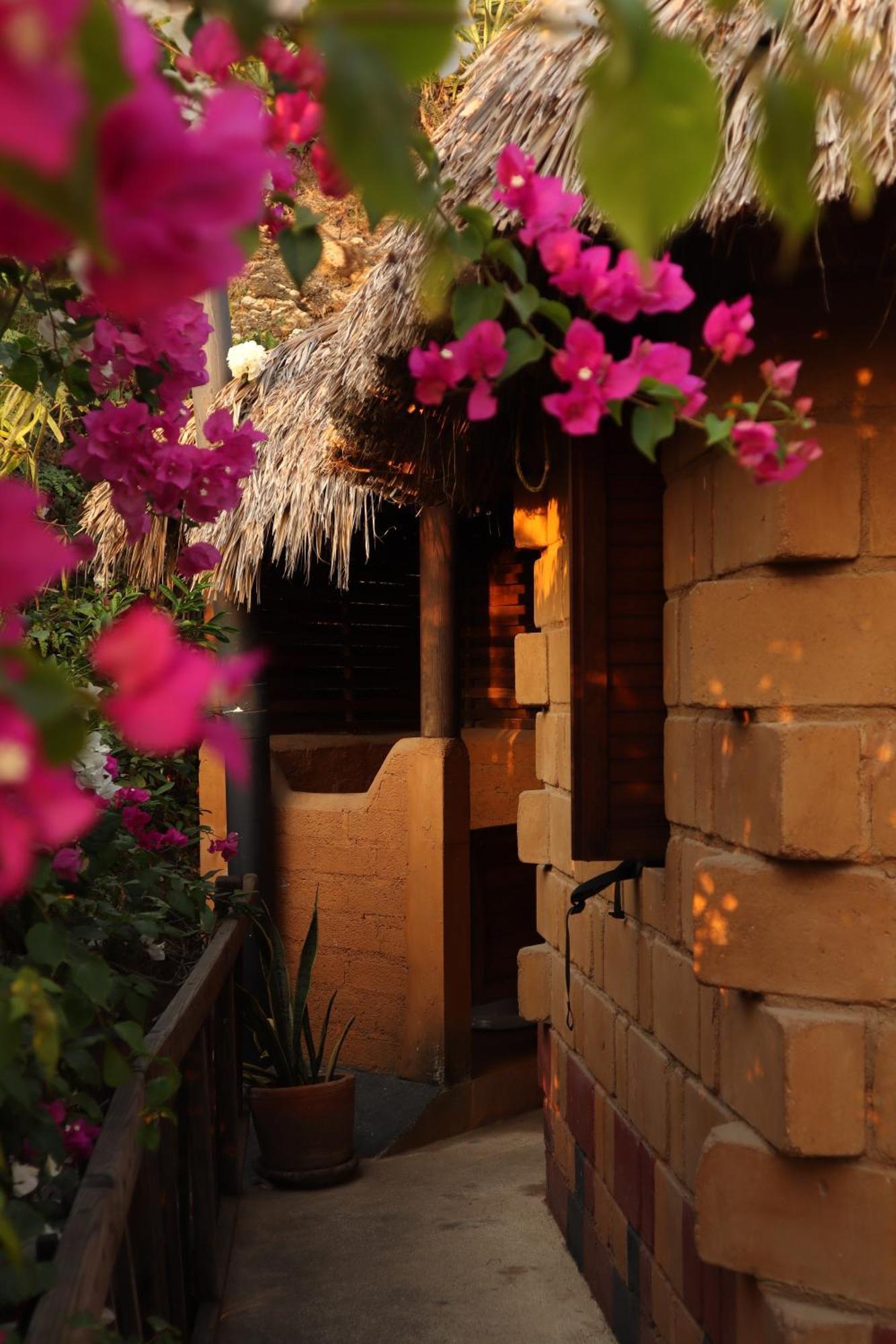 Hotel La Loma Linda, Bungalows, Yoga And Feldenkrais, Starlink Internet Zipolite