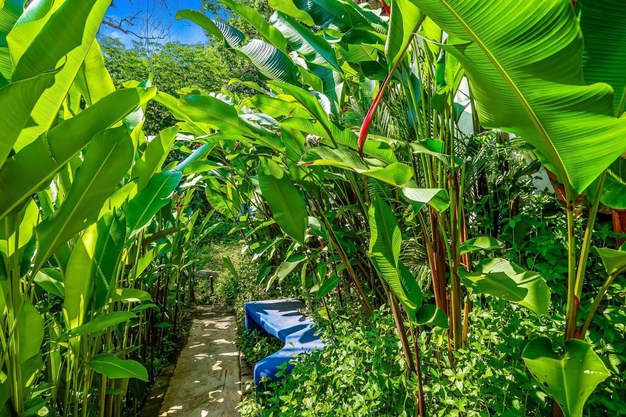 Holiday home Bambu Barra de Navidad