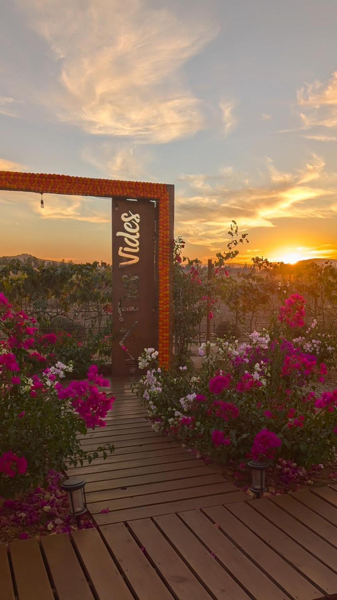 Tres Vides Boutique Valle de Guadalupe