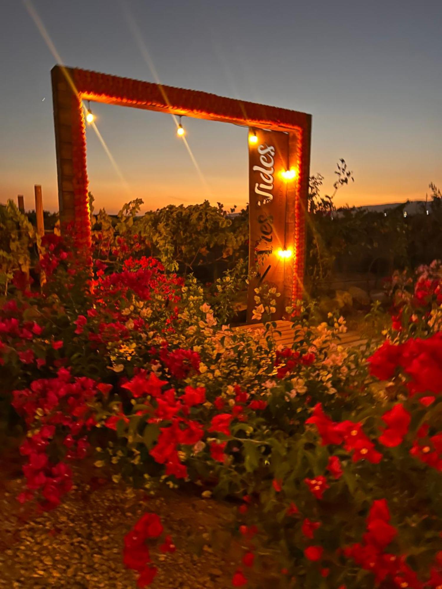 Tres Vides Boutique * Valle de Guadalupe