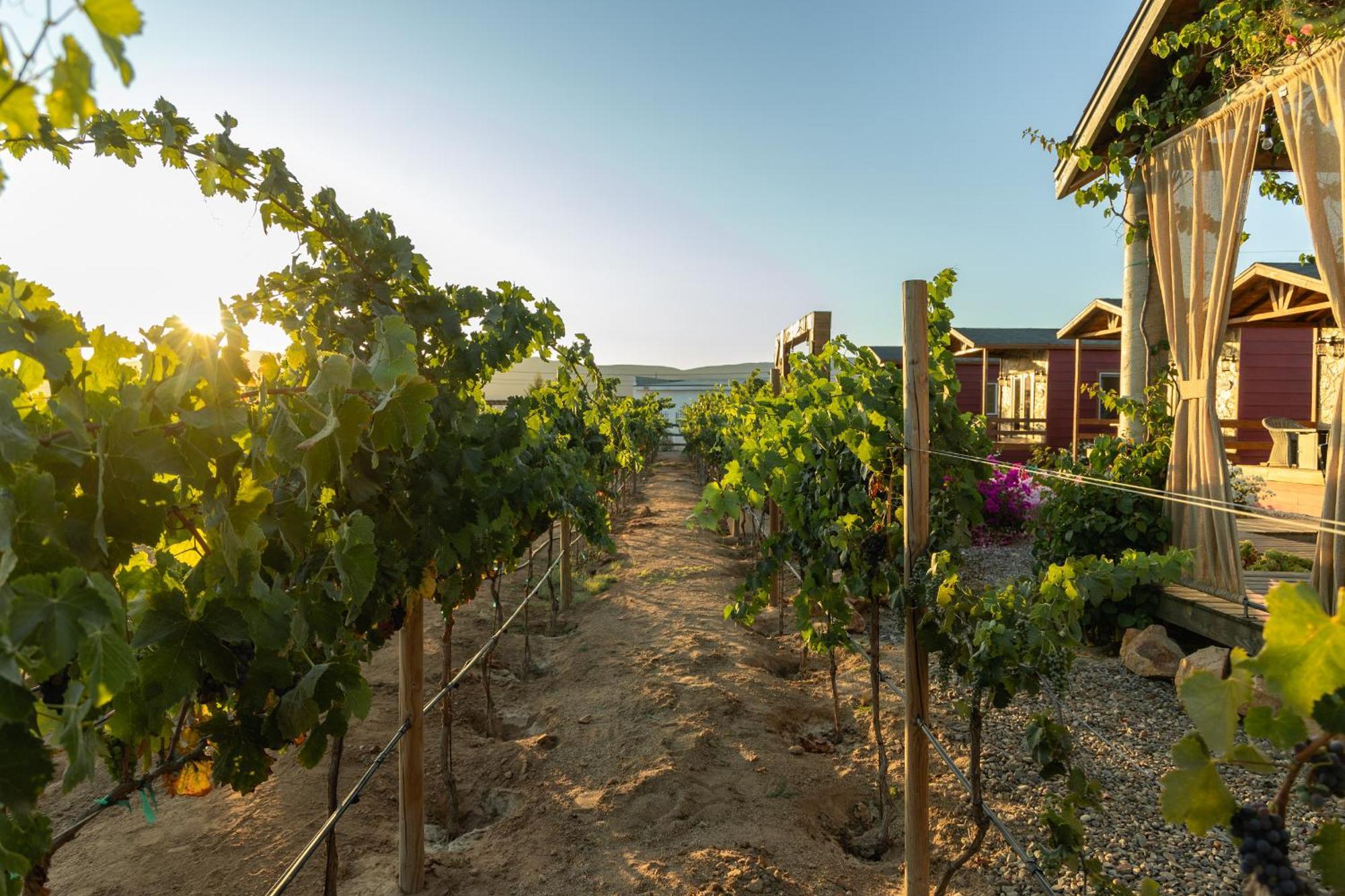 Tres Vides Boutique Bed & Breakfast