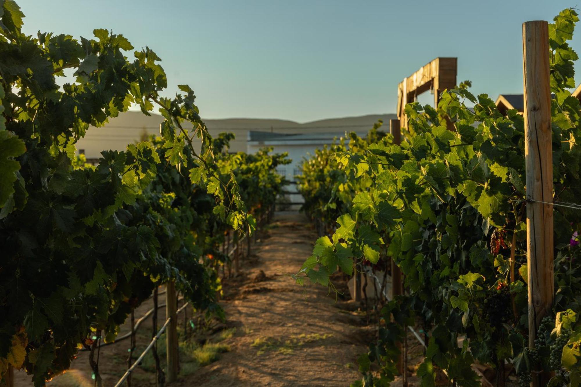 Tres Vides Boutique Bed & Breakfast *