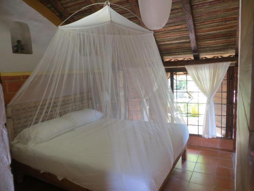 Hotel La Loma Linda, Bungalows, Yoga And Feldenkrais, Starlink Internet