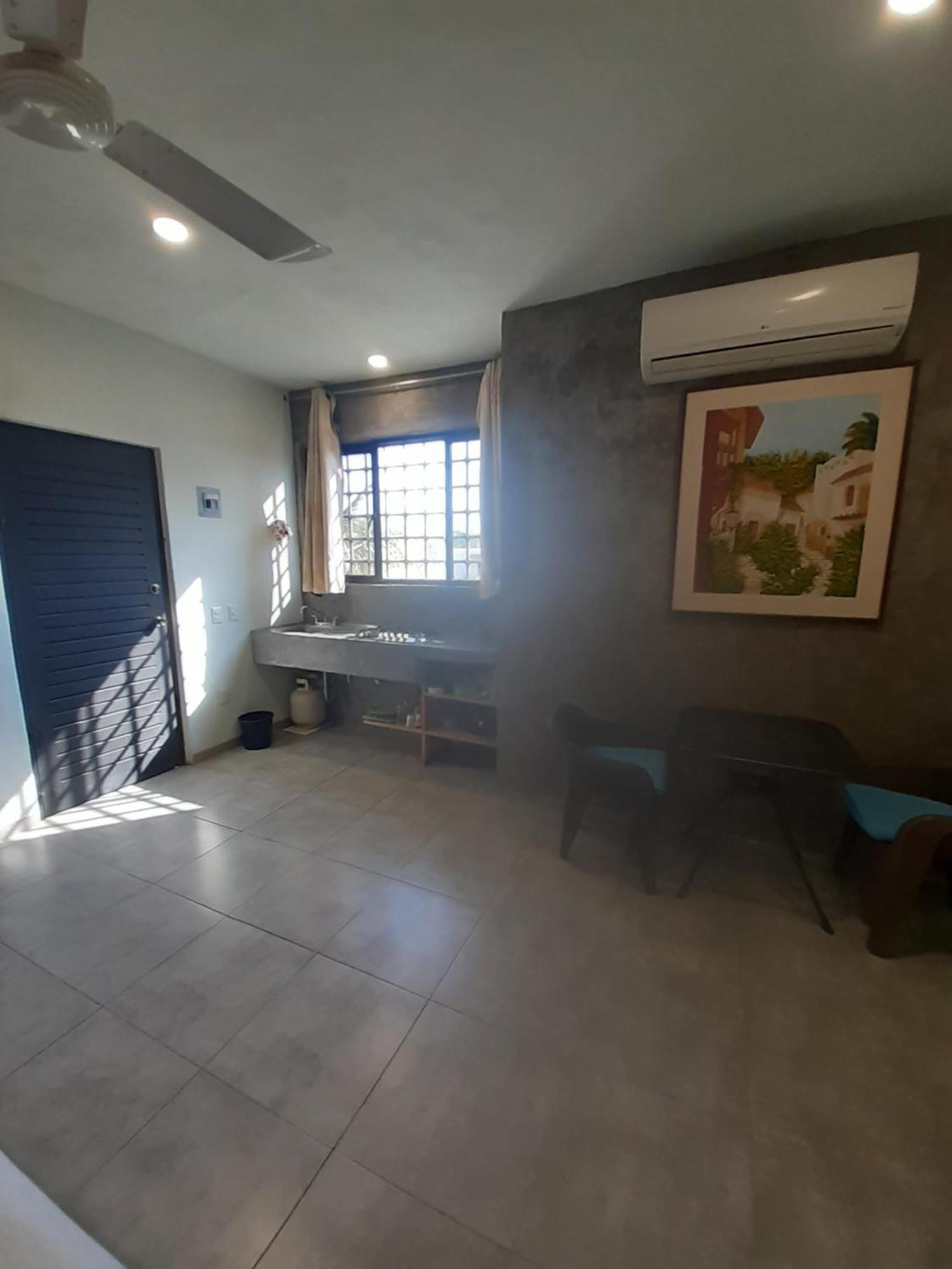 Apartment Loft Con Jardin Amplio 3