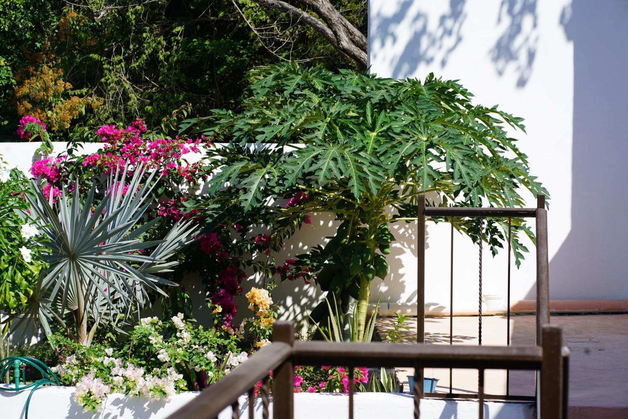 Casa Esperanza
