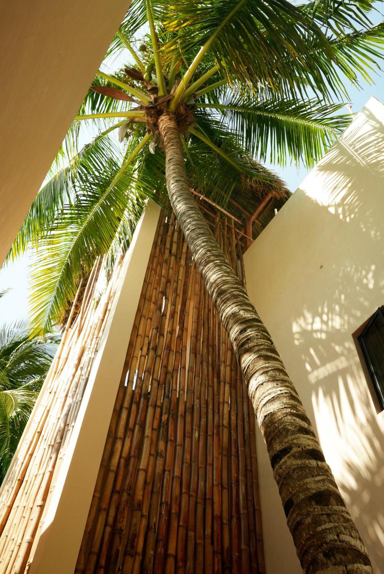 Nikau - Adults Only Hotel