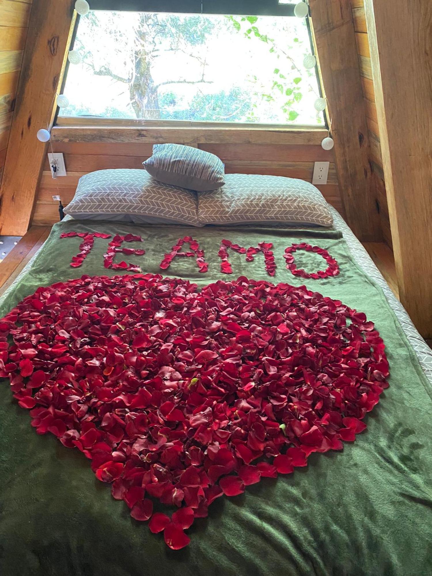Chalet Alpina, Romantica Y Acogedora A 10 Minutos Del Centro