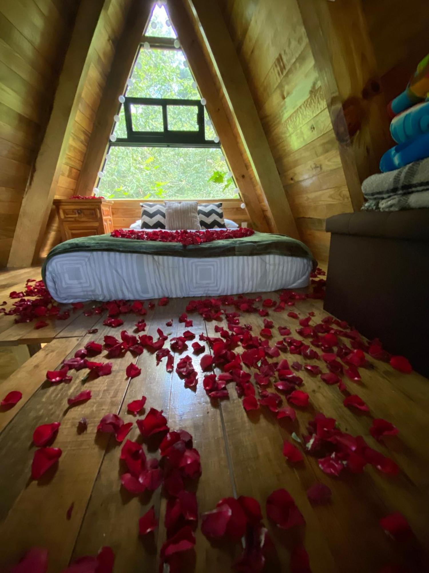 Chalet Alpina, Romantica Y Acogedora A 10 Minutos Del Centro