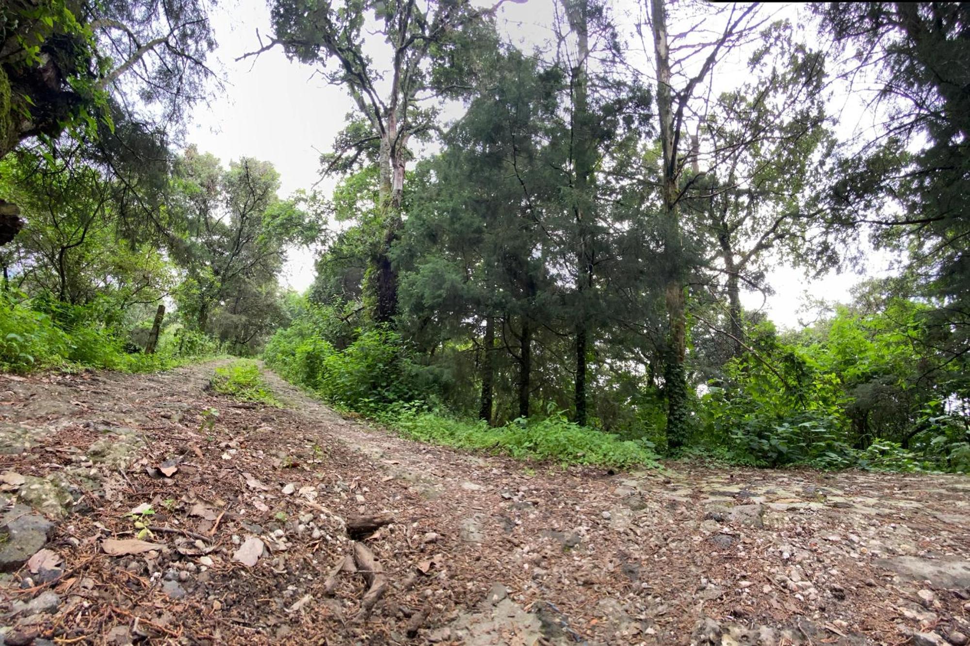 Chalet Alpina, Romantica Y Acogedora A 10 Minutos Del Centro Tepoztlan