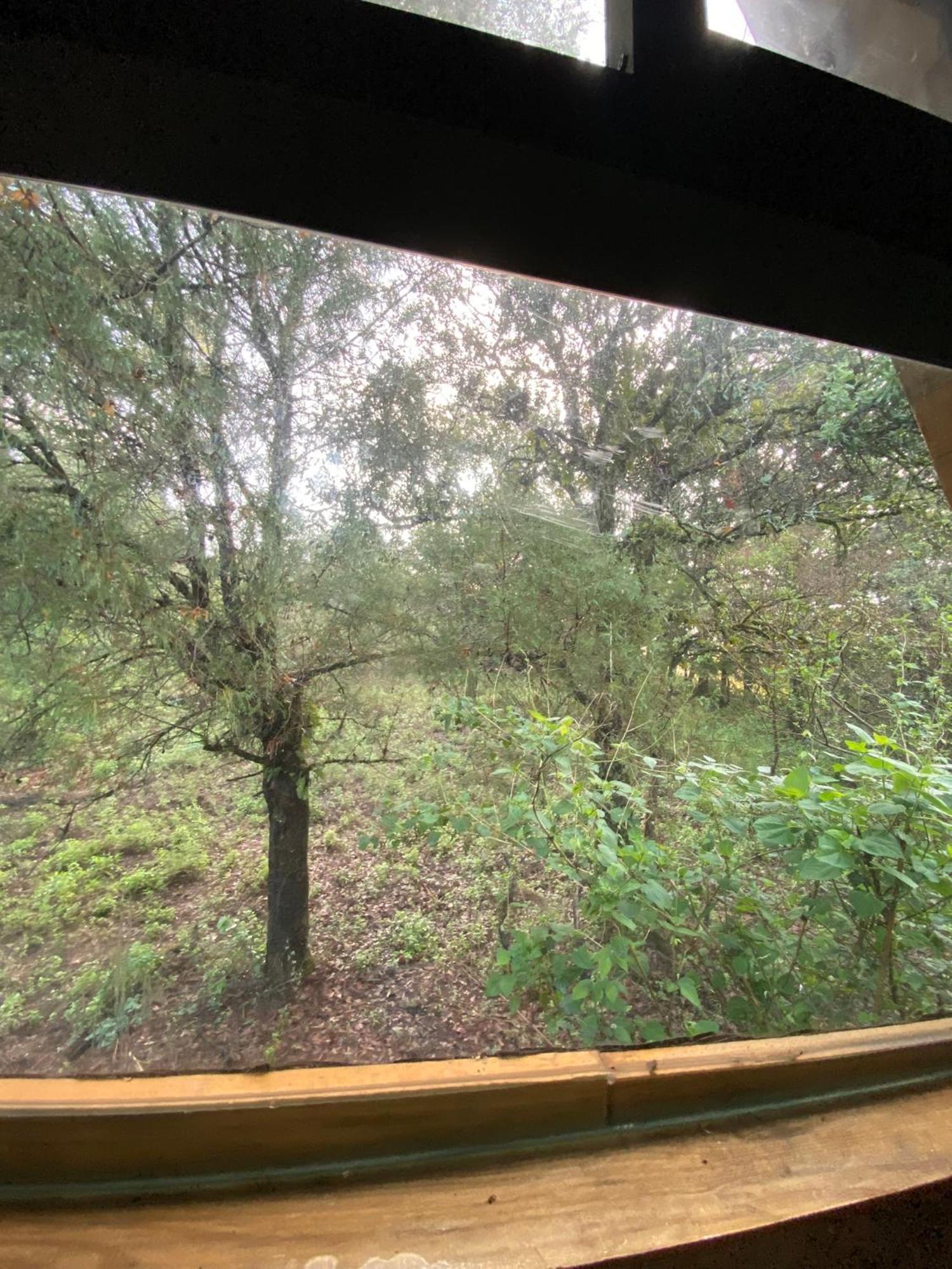 Alpina, Romantica Y Acogedora A 10 Minutos Del Centro Chalet Tepoztlan