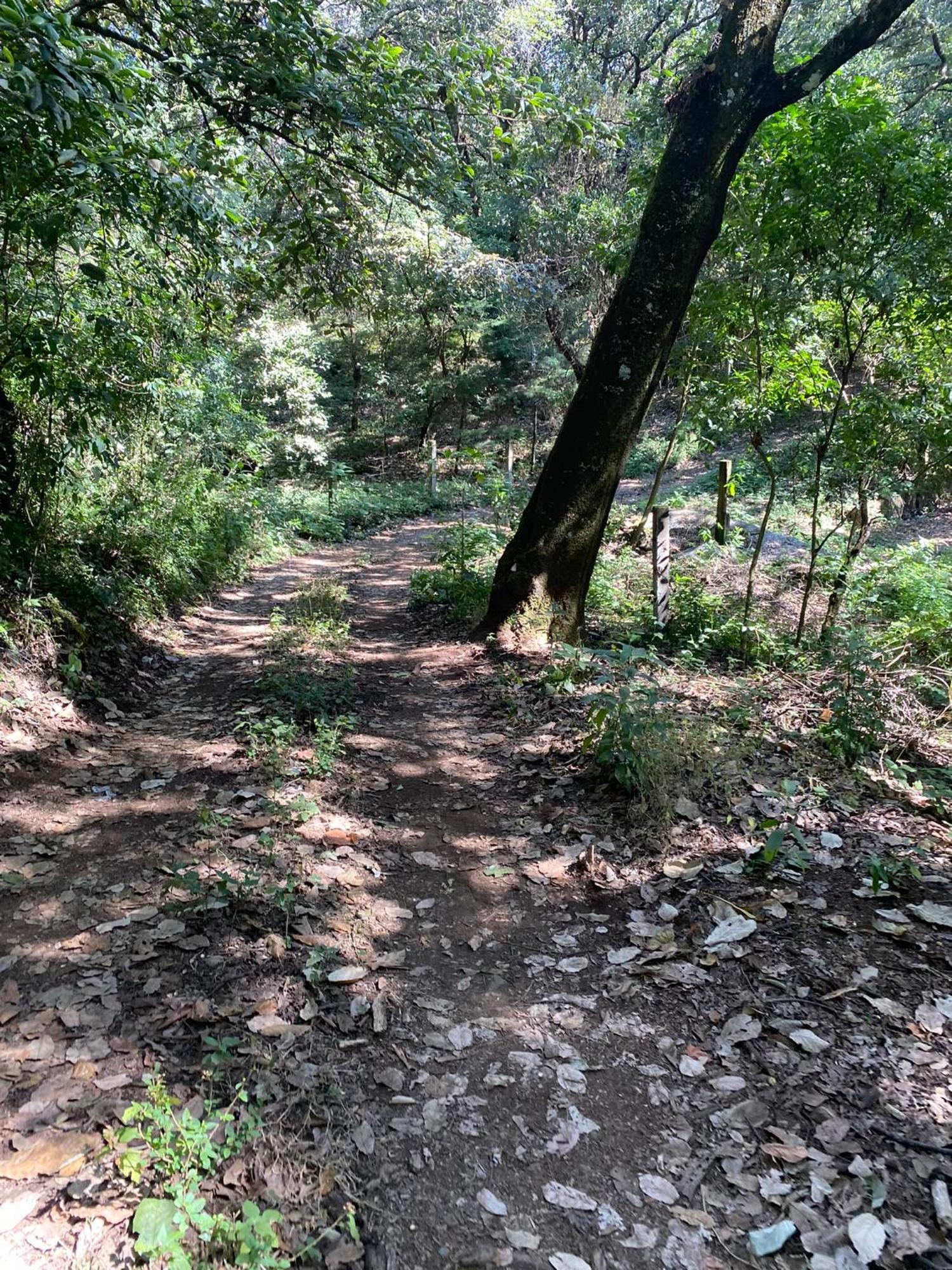 Alpina, Romantica Y Acogedora A 10 Minutos Del Centro Tepoztlan
