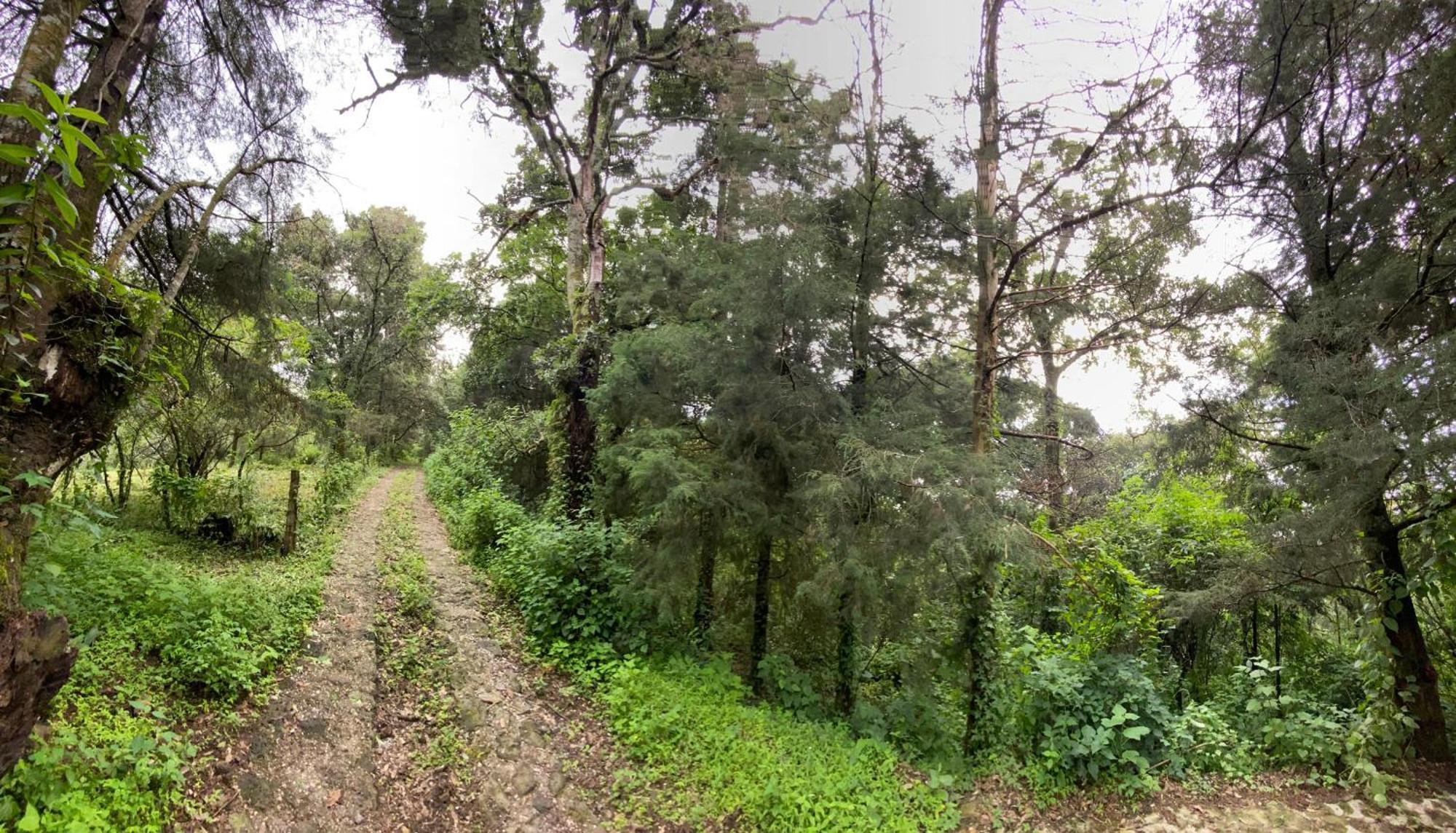Chalet Alpina, Romantica Y Acogedora A 10 Minutos Del Centro Tepoztlan
