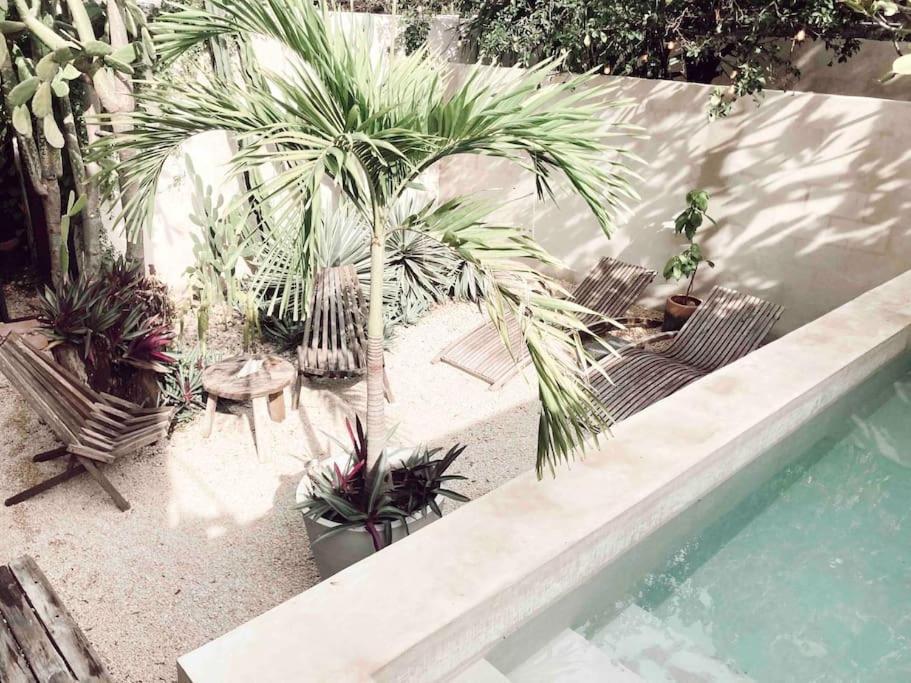 Bed & Breakfast Boutique Kaa