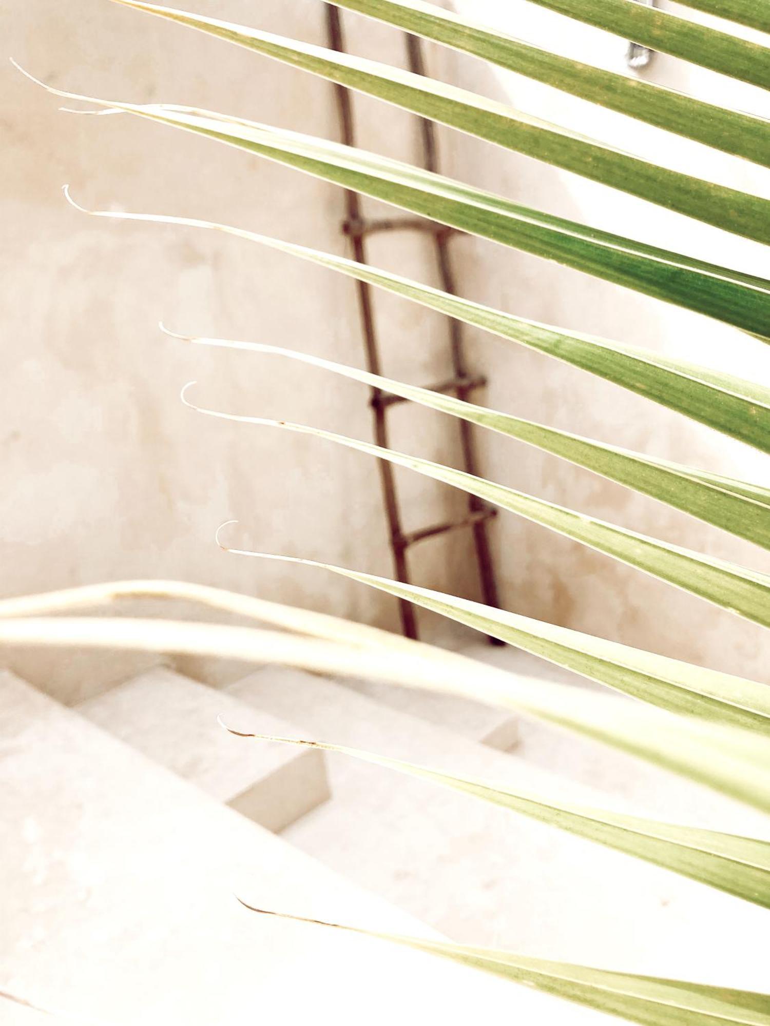 Bed & Breakfast Boutique Kaa