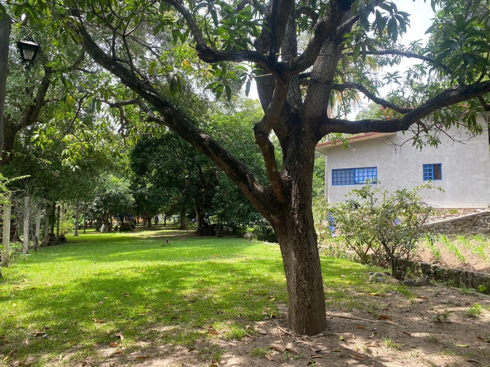 Avivamiento Resort Amacuzac