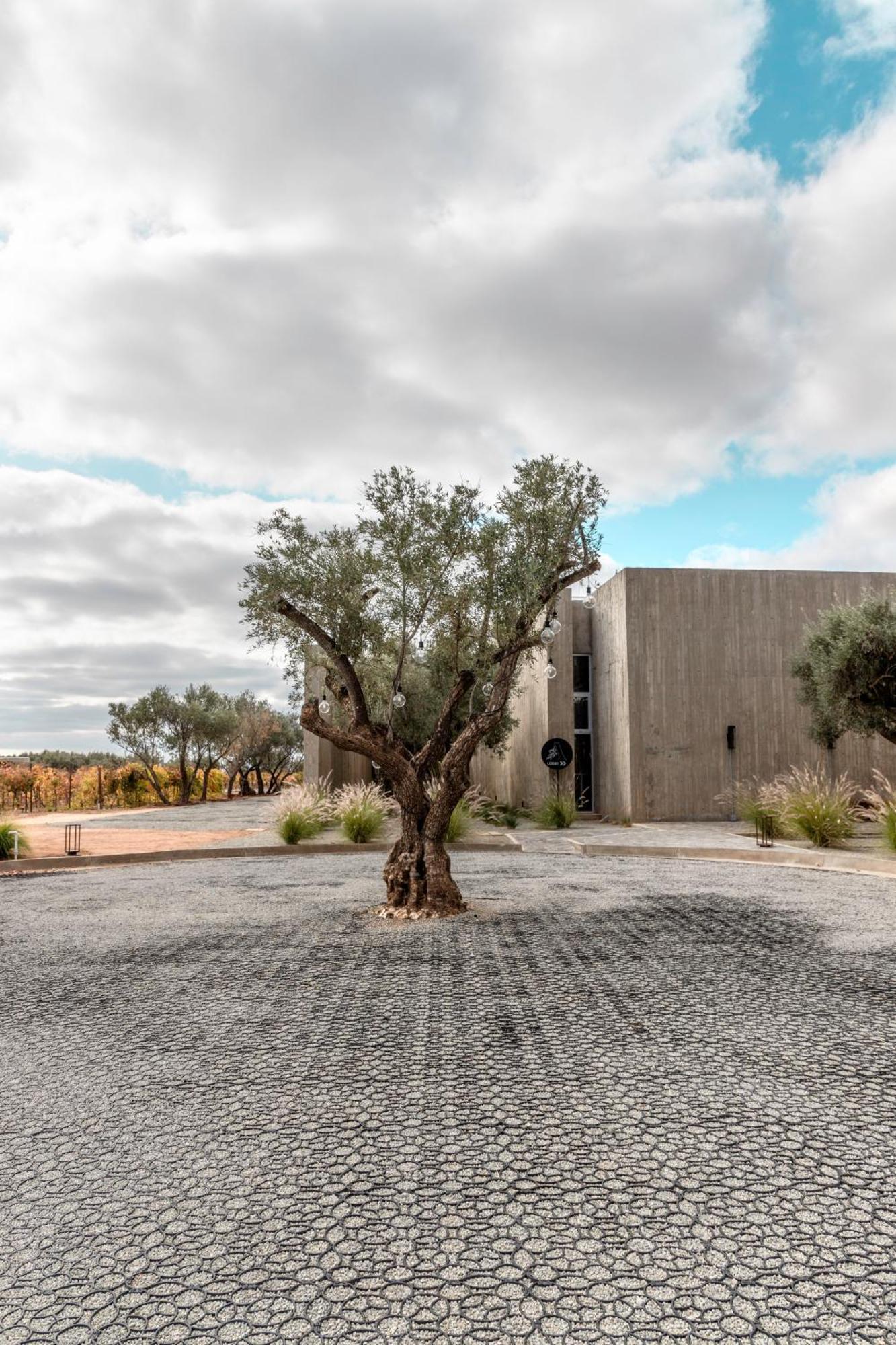Hotel Andana Winery & Valle de Guadalupe