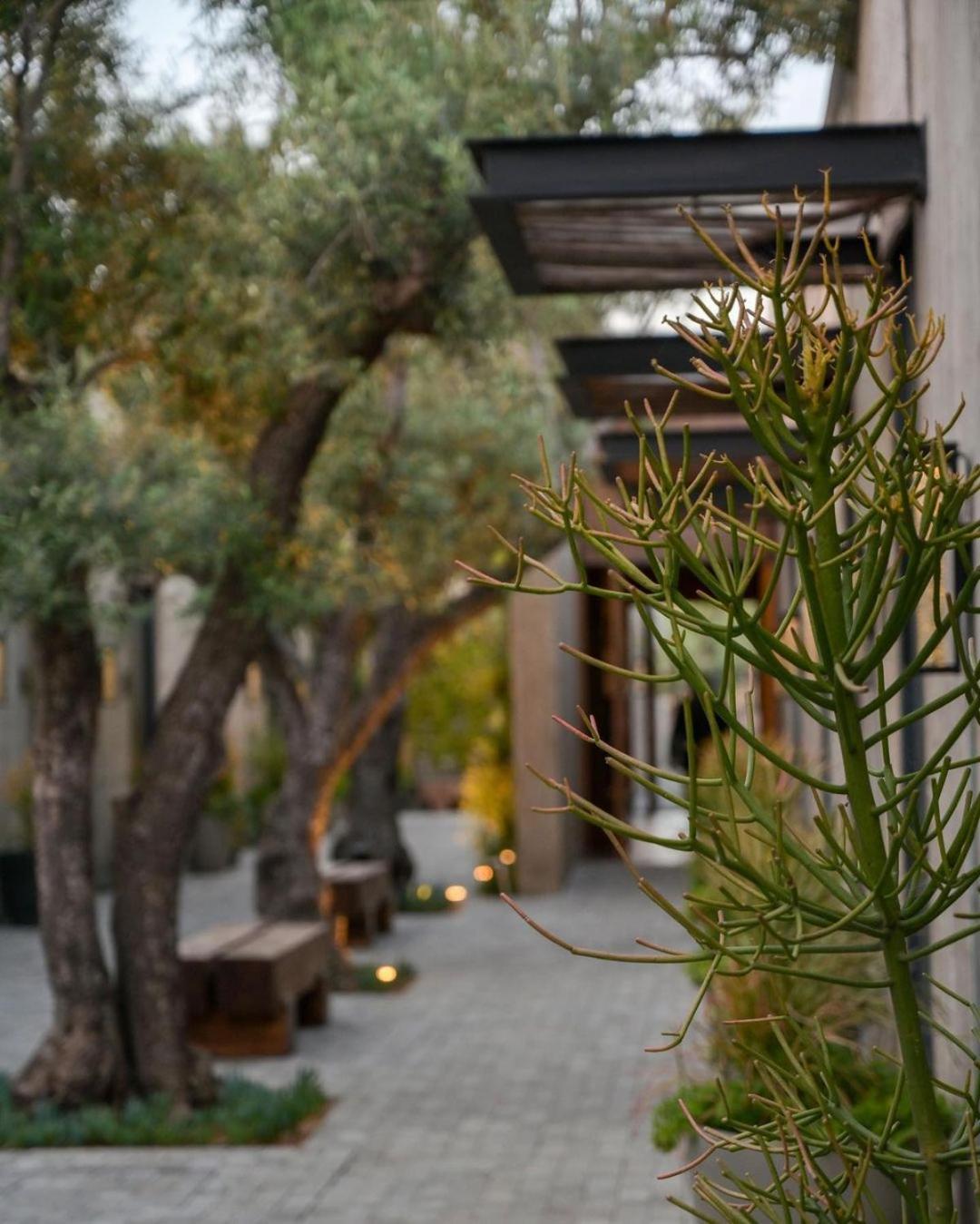 Andana Winery & Hotel Valle de Guadalupe