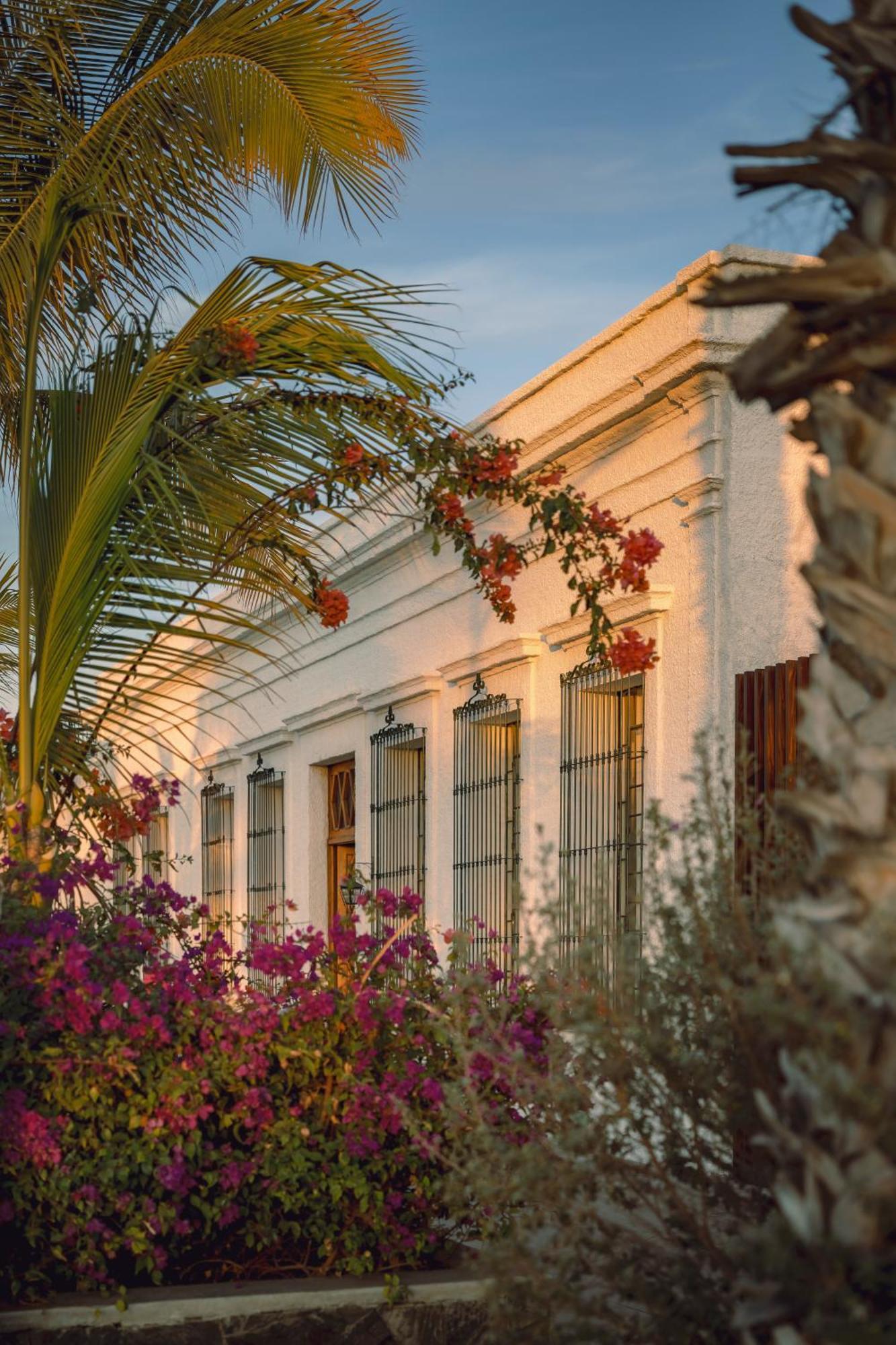 Baja Club Hotel, La Paz, Baja California Sur, A Member Of Design Hotel La Paz