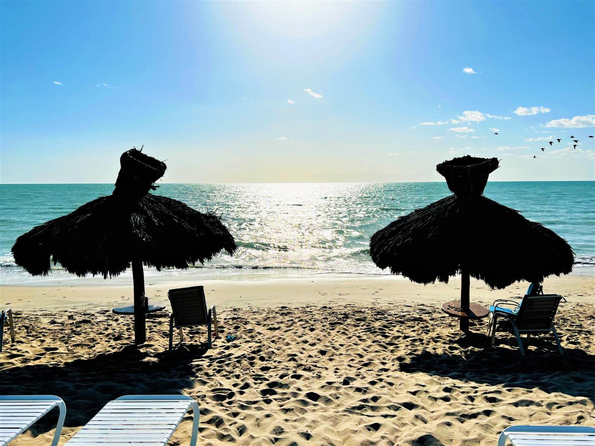 Aparthotel Rocky Point - Ocean Front - King - - Sleeps12 - Gated - Pools Wi-fi