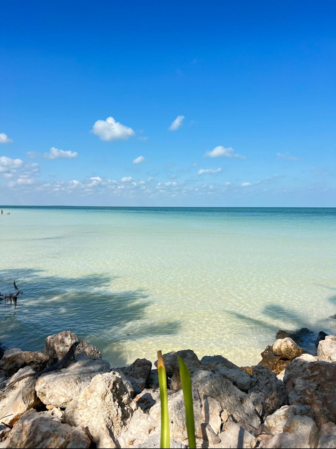 Hotel Atenea Isla Holbox