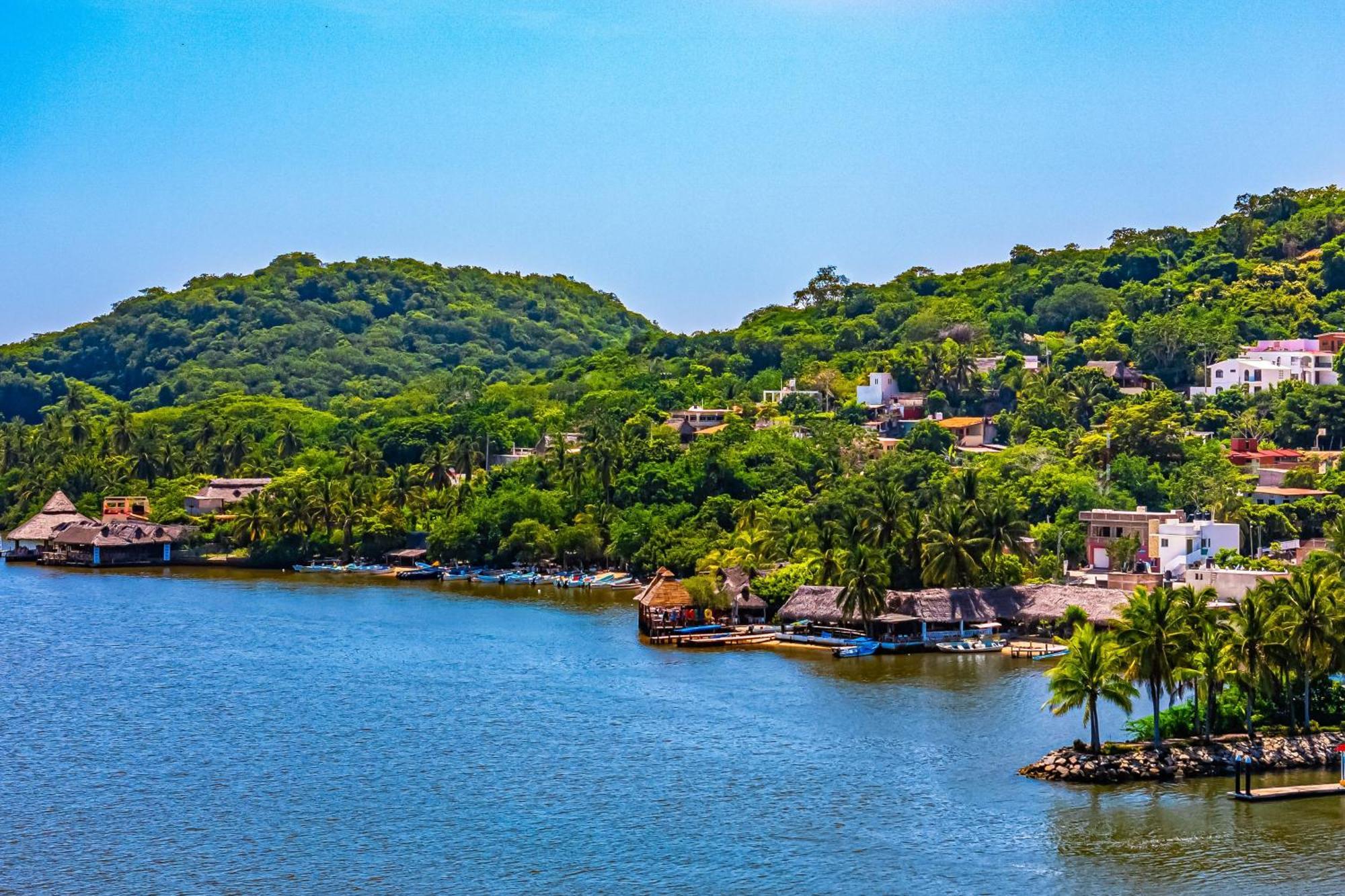 Buganvilia * Barra de Navidad