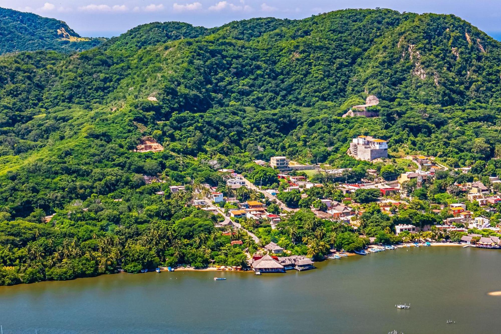 Buganvilia *