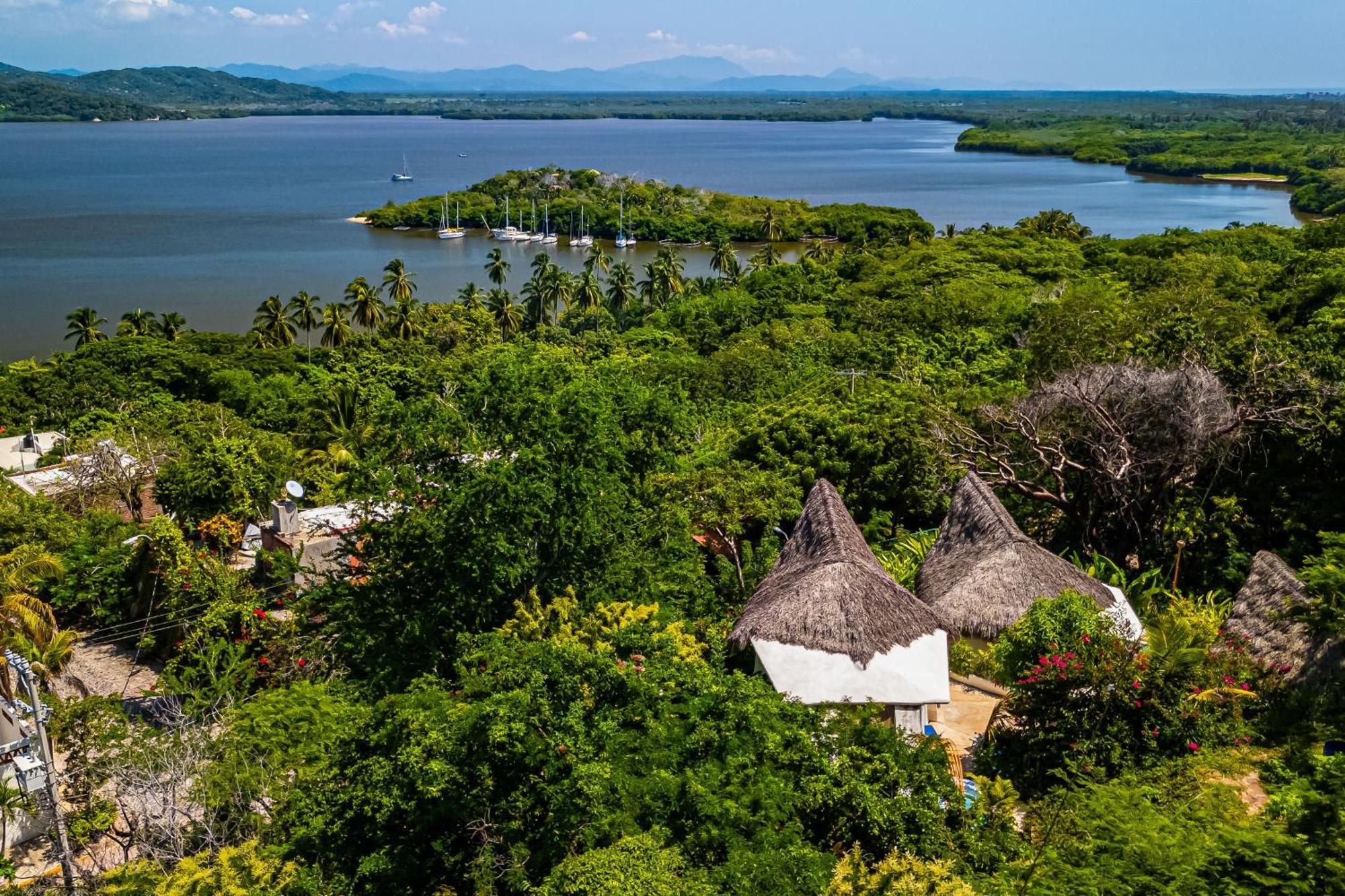 Buganvilia