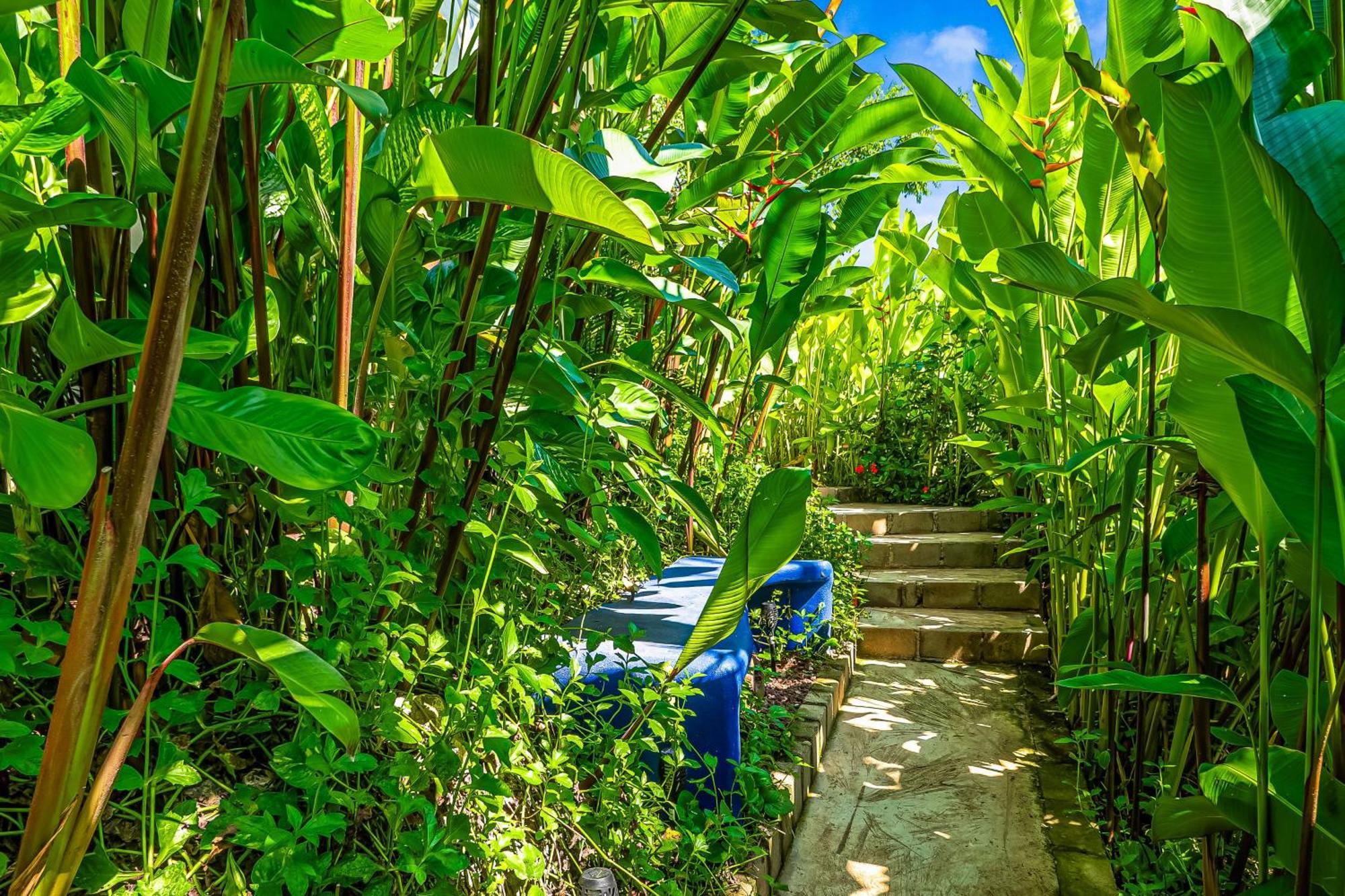Buganvilia Holiday home