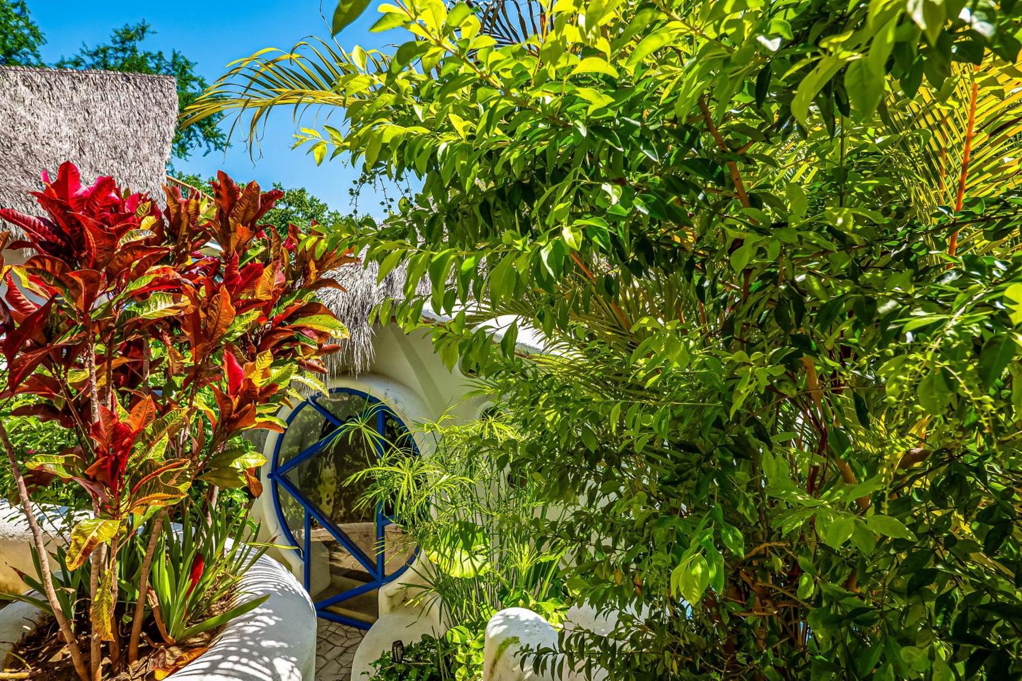 Buganvilia Holiday home *