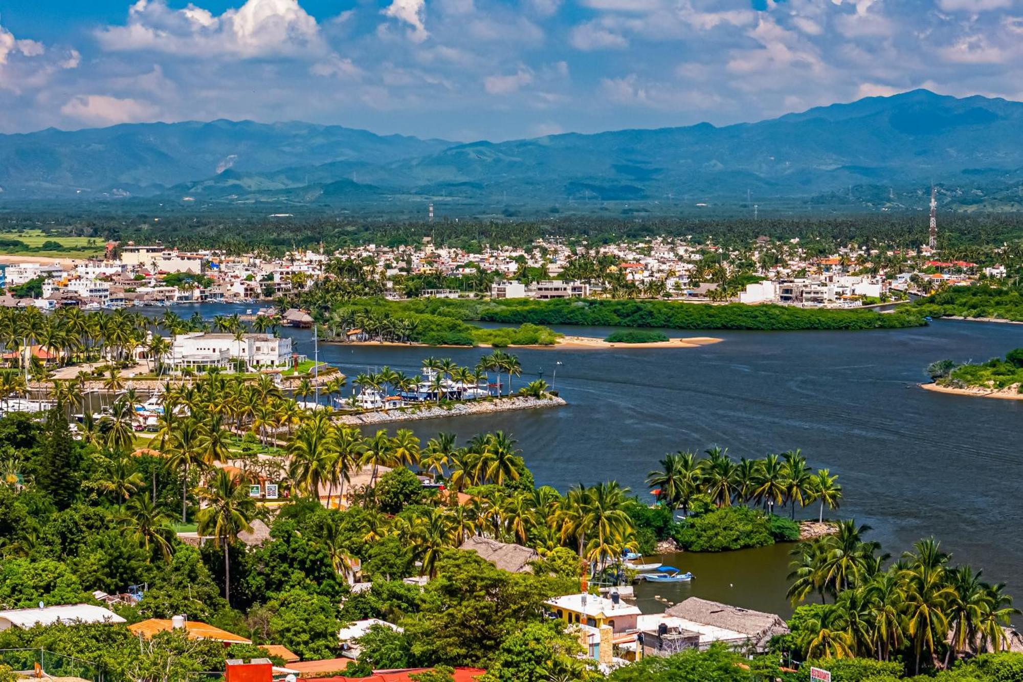 Buganvilia *