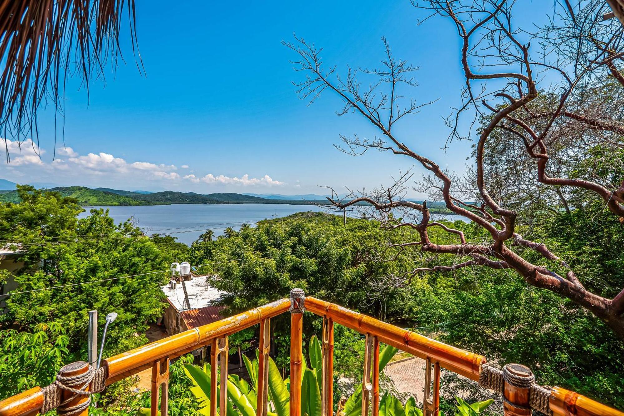 Buganvilia Barra de Navidad
