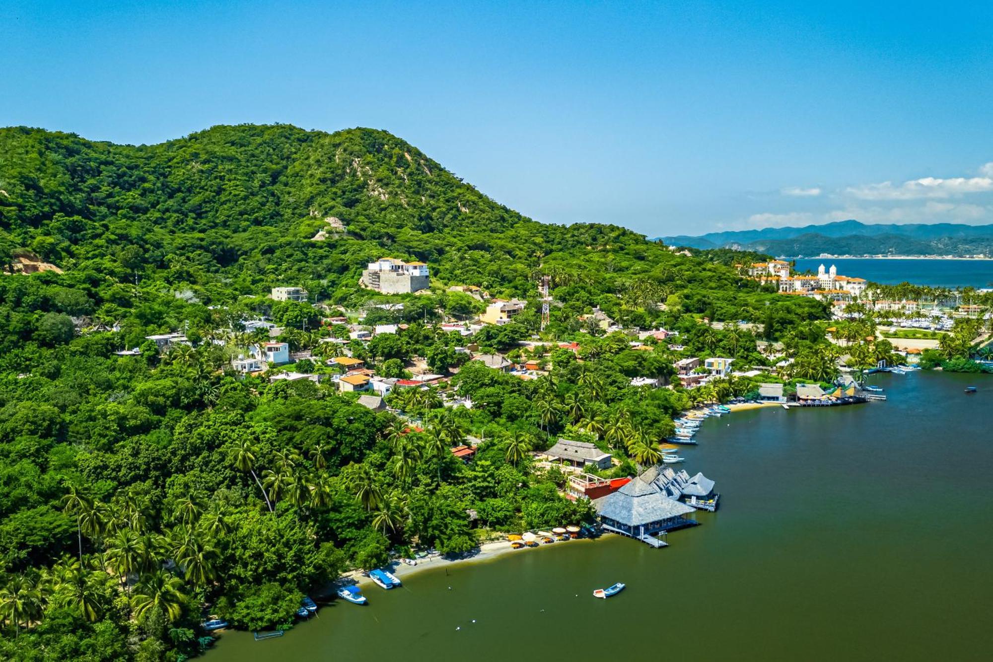 Buganvilia Barra de Navidad