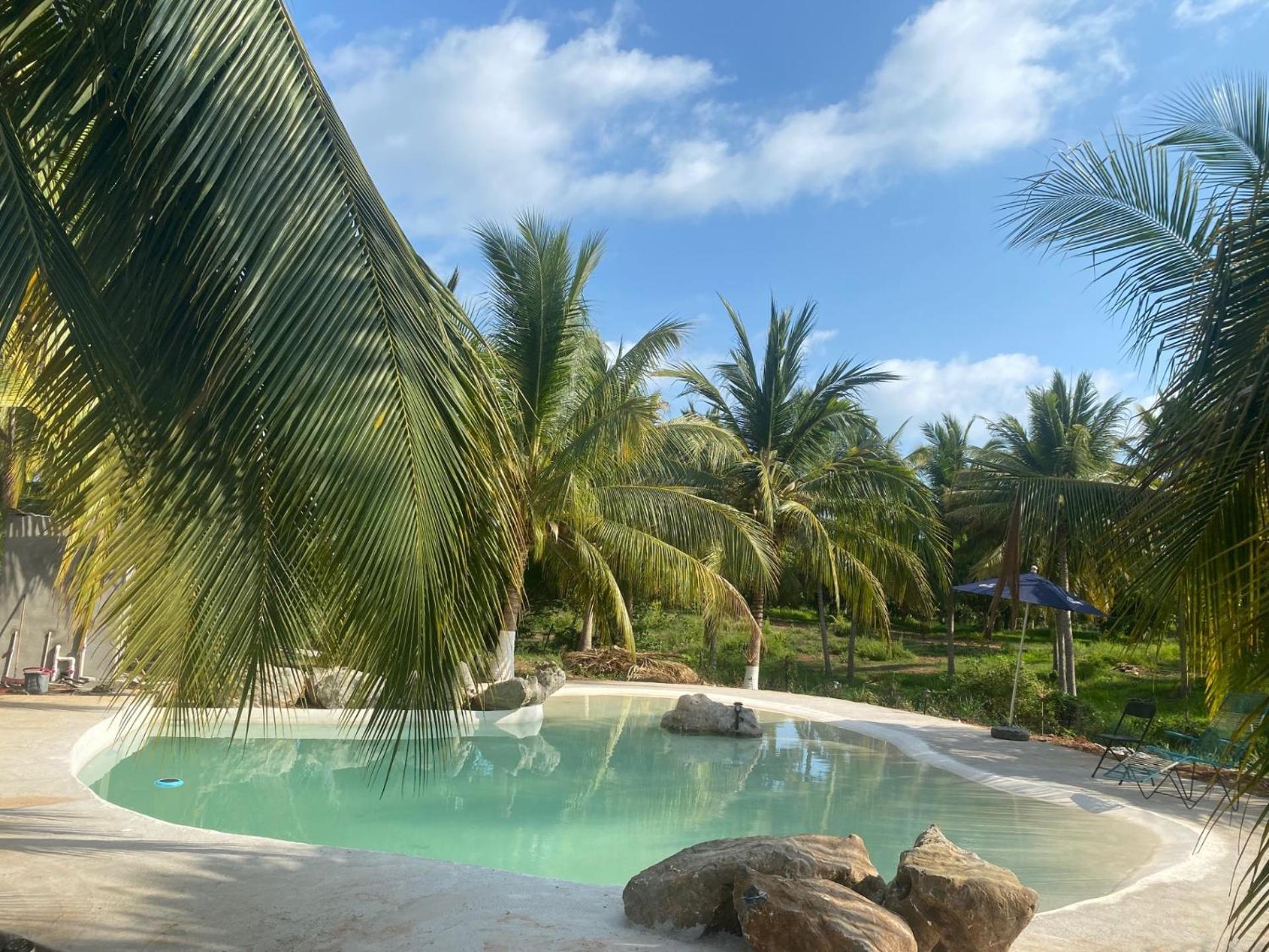 Casa Palmas Playa La Saladita Zihuatanejo