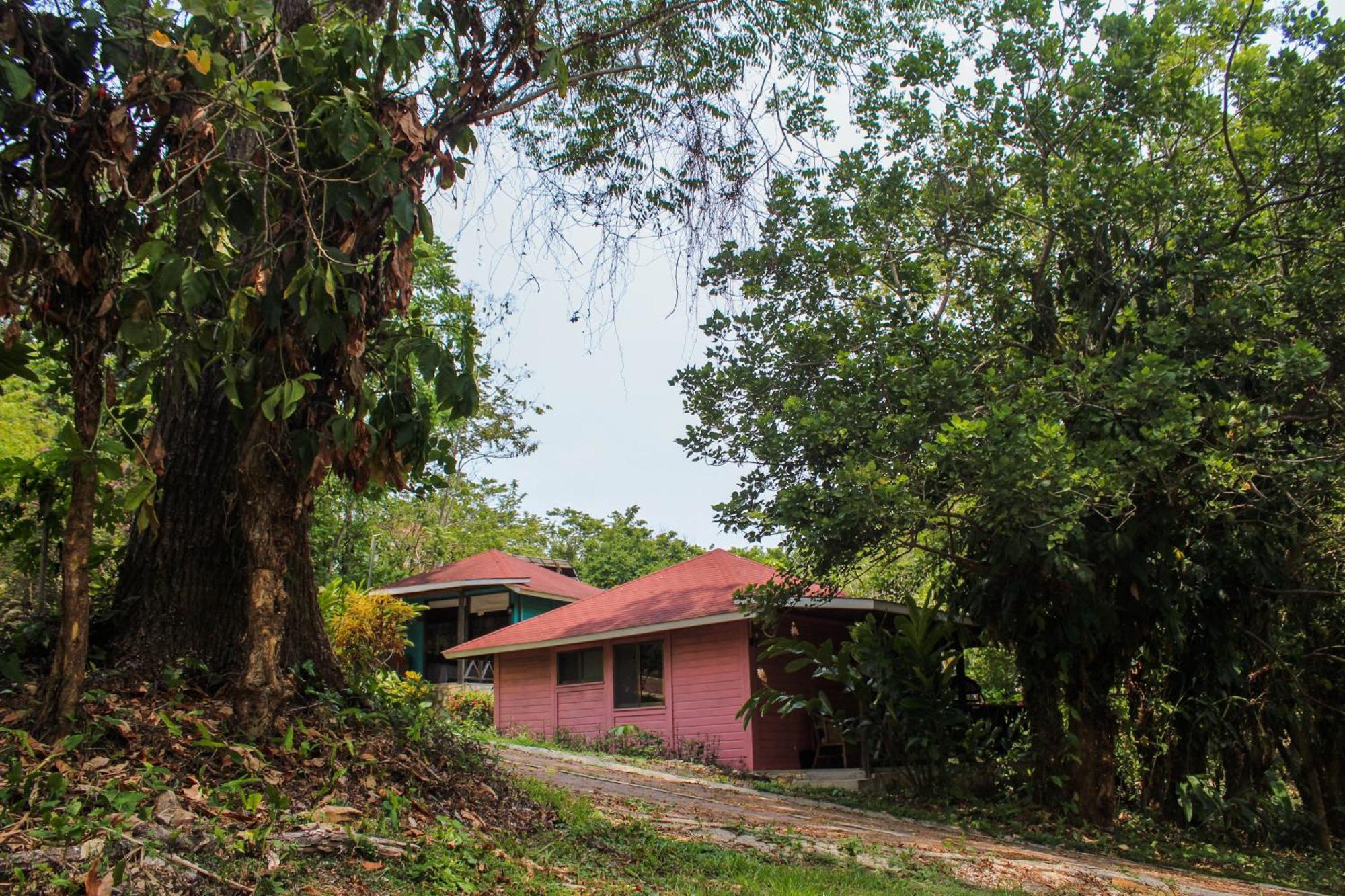 Winika Alterra Lodge Palenque