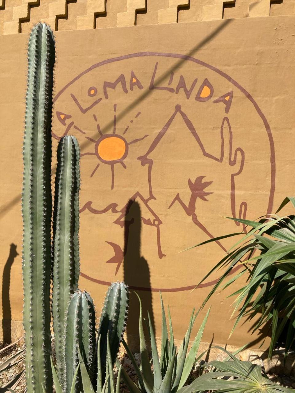 Hotel La Loma Linda, Bungalows, Yoga And Feldenkrais, Starlink Internet 2*