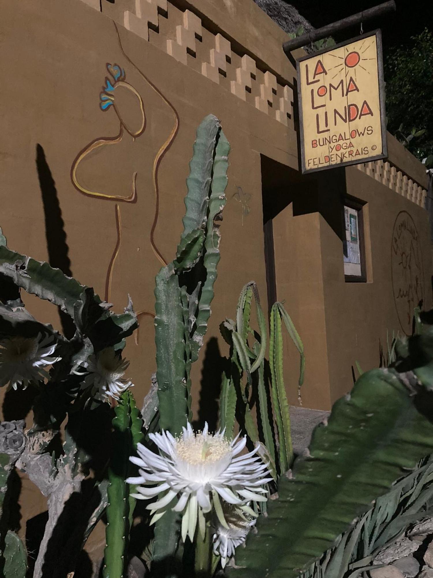 La Loma Linda, Bungalows, Yoga And Feldenkrais, Starlink Internet Hotel Zipolite