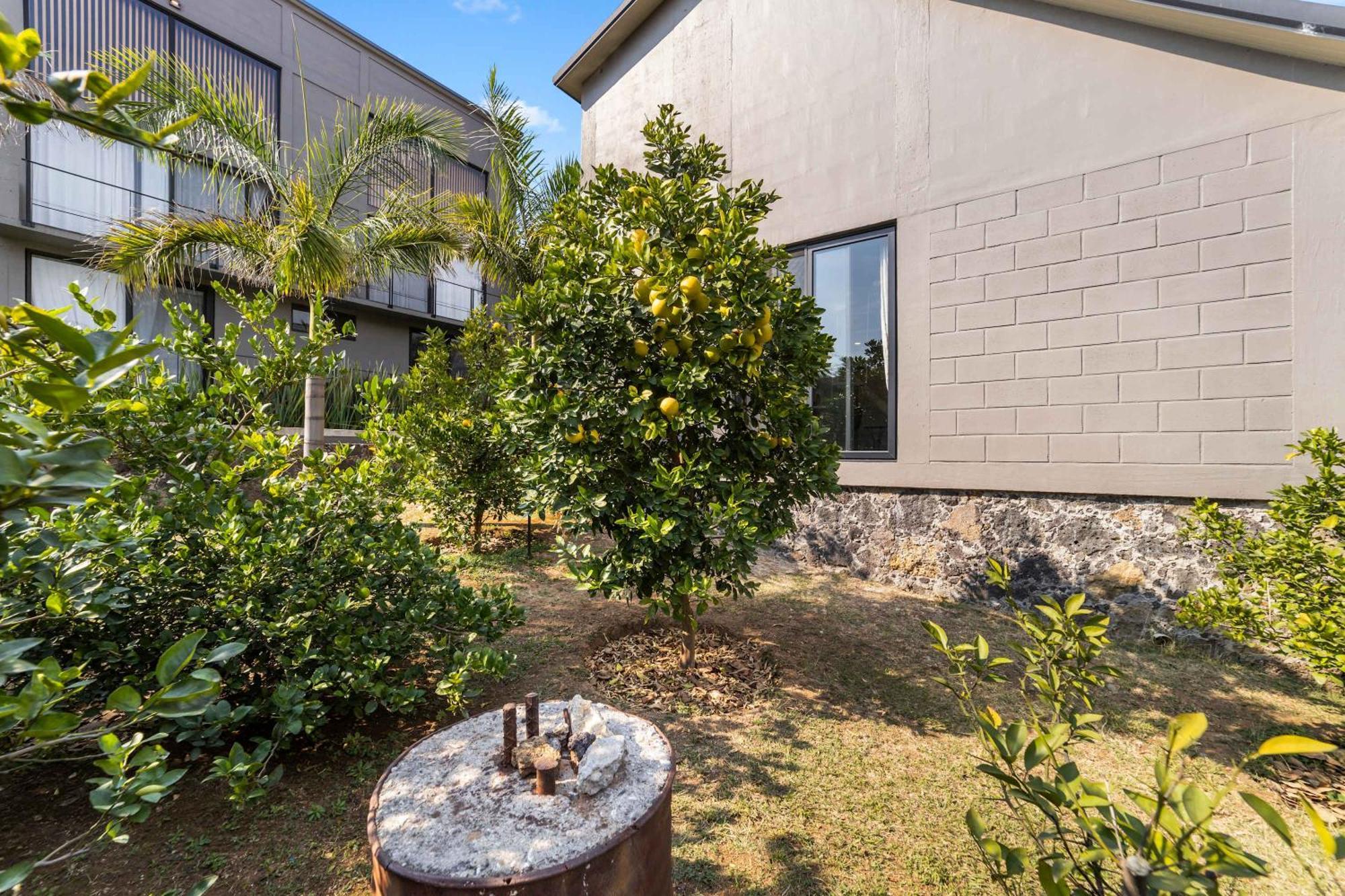 La Casita With Pool And Mountain View * Amatlan de Quetzalcoatl