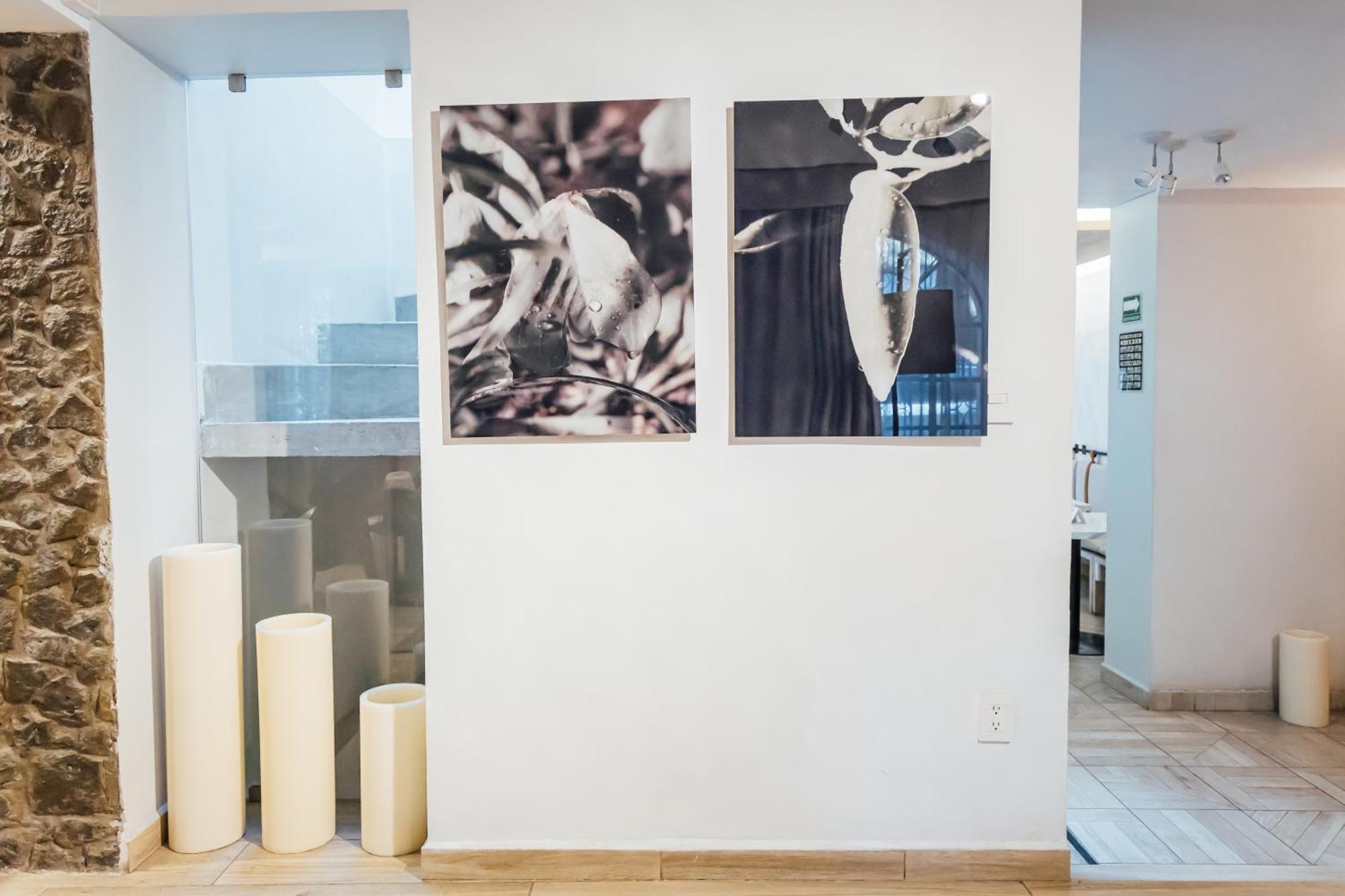 Agata Boutique & 5* Mexico City