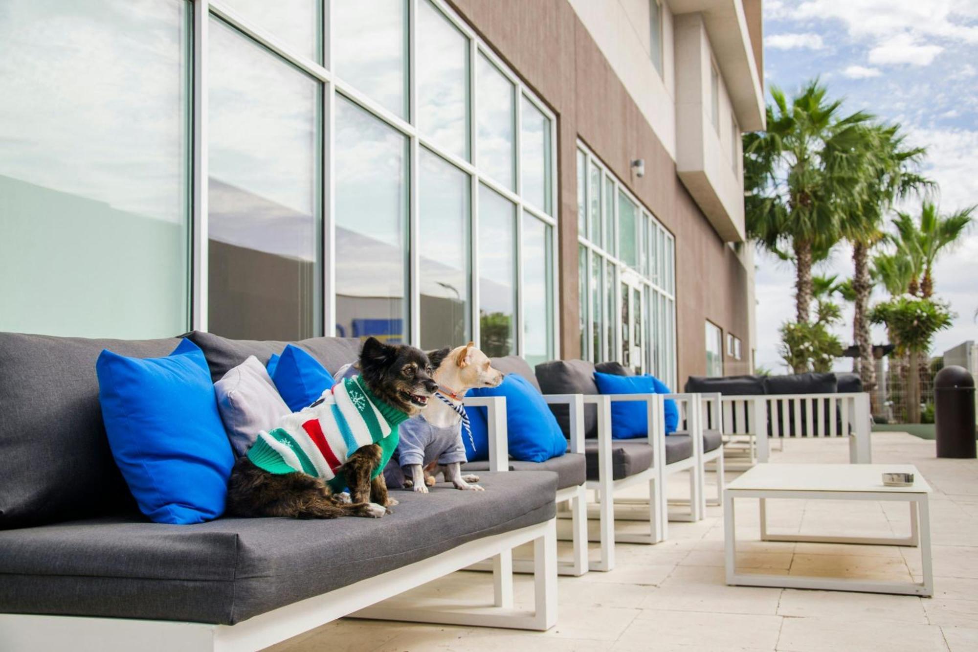 Courtyard By Marriott Hotel
