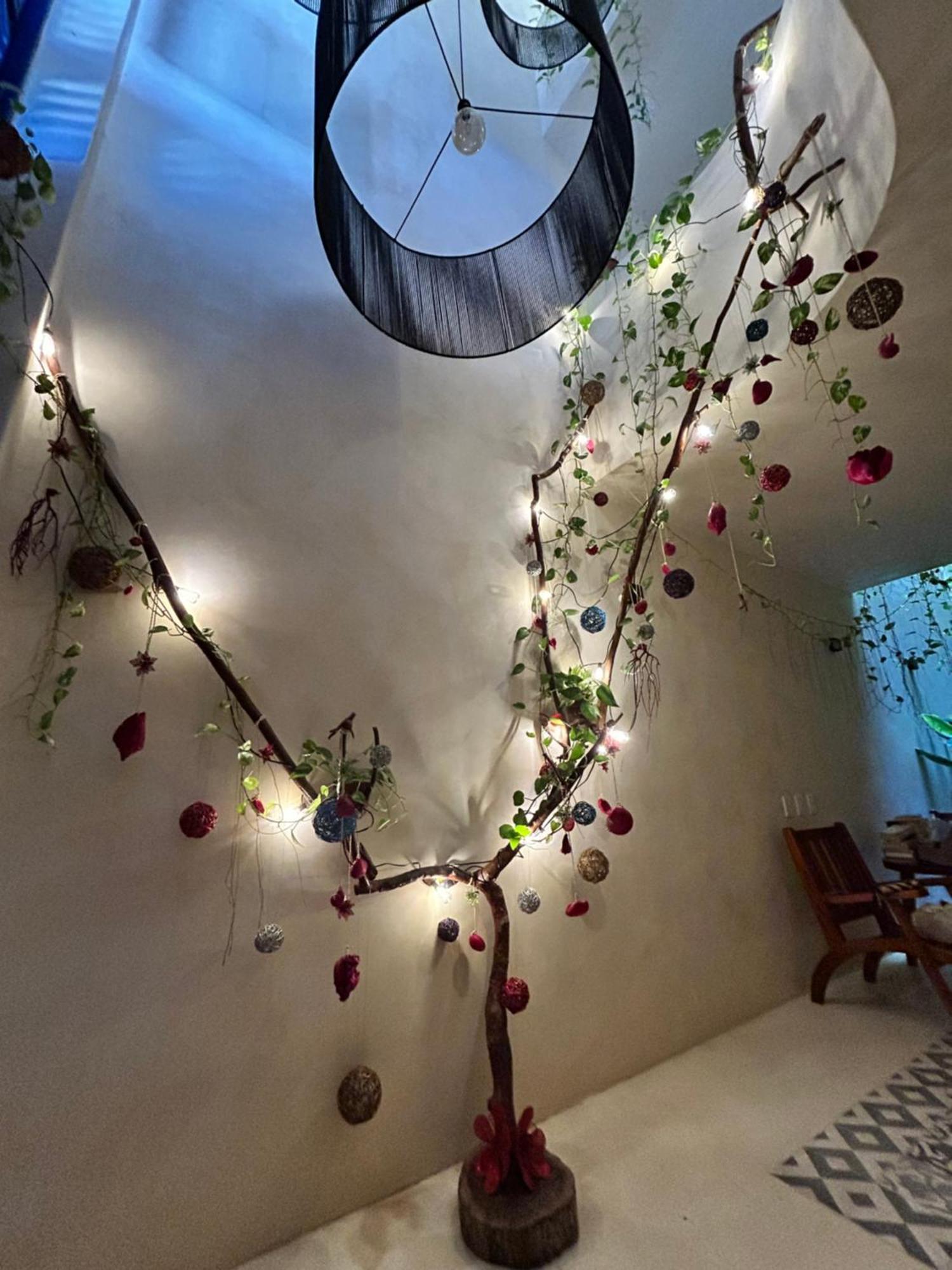 Sunsteps Casa *