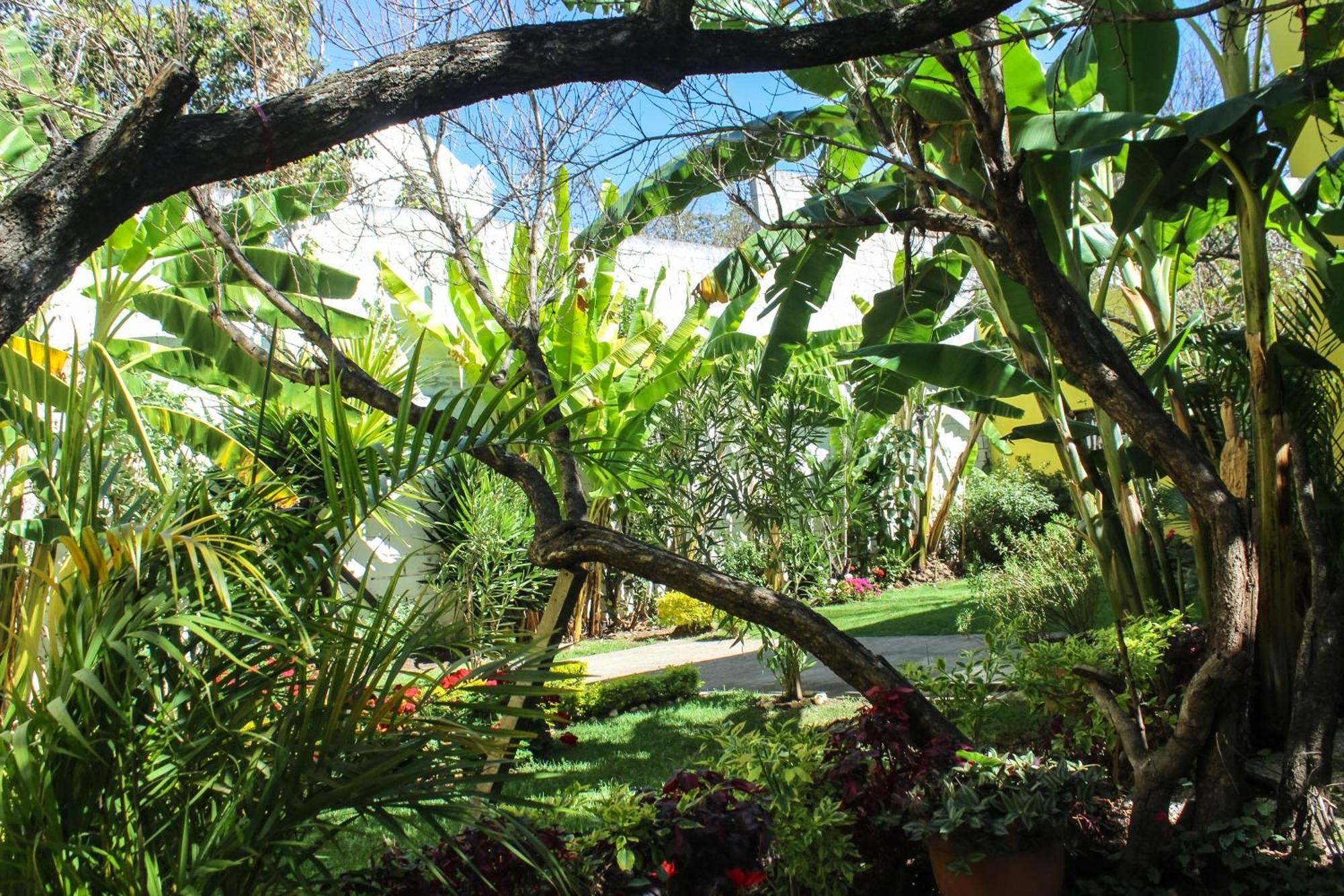 Hotel Jardines De Luz