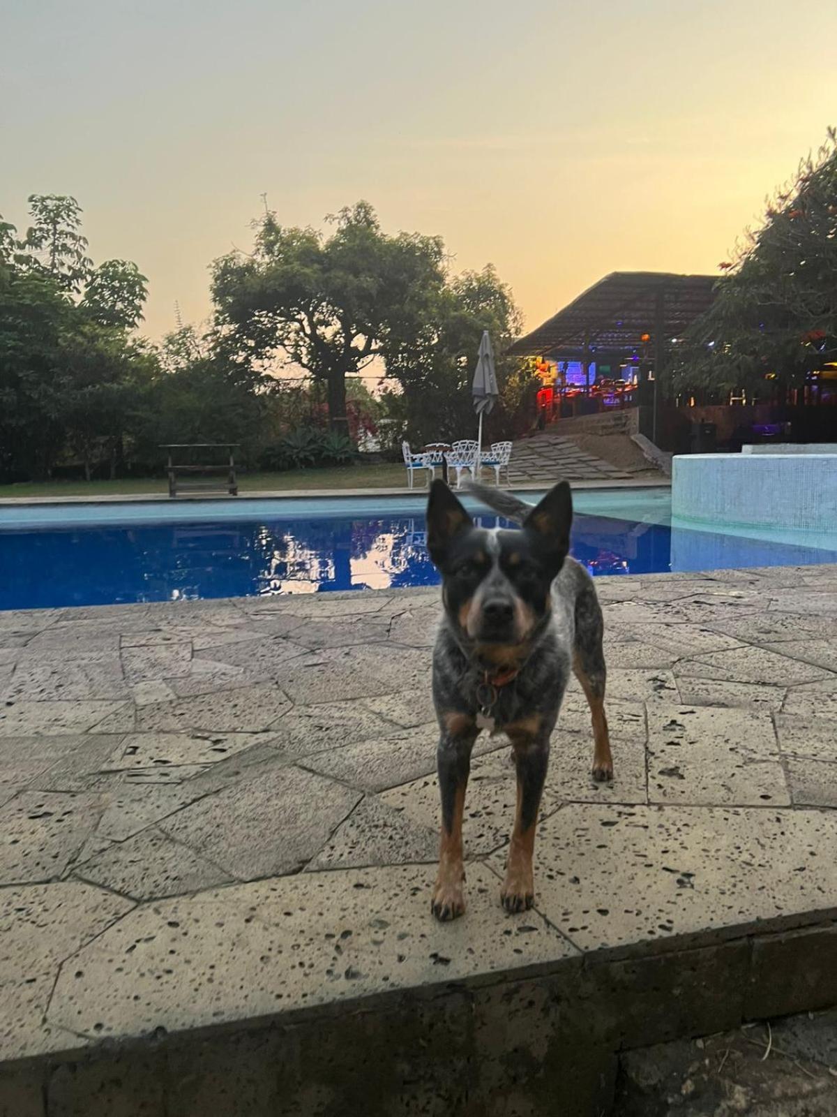 Sampaz * Tepoztlan