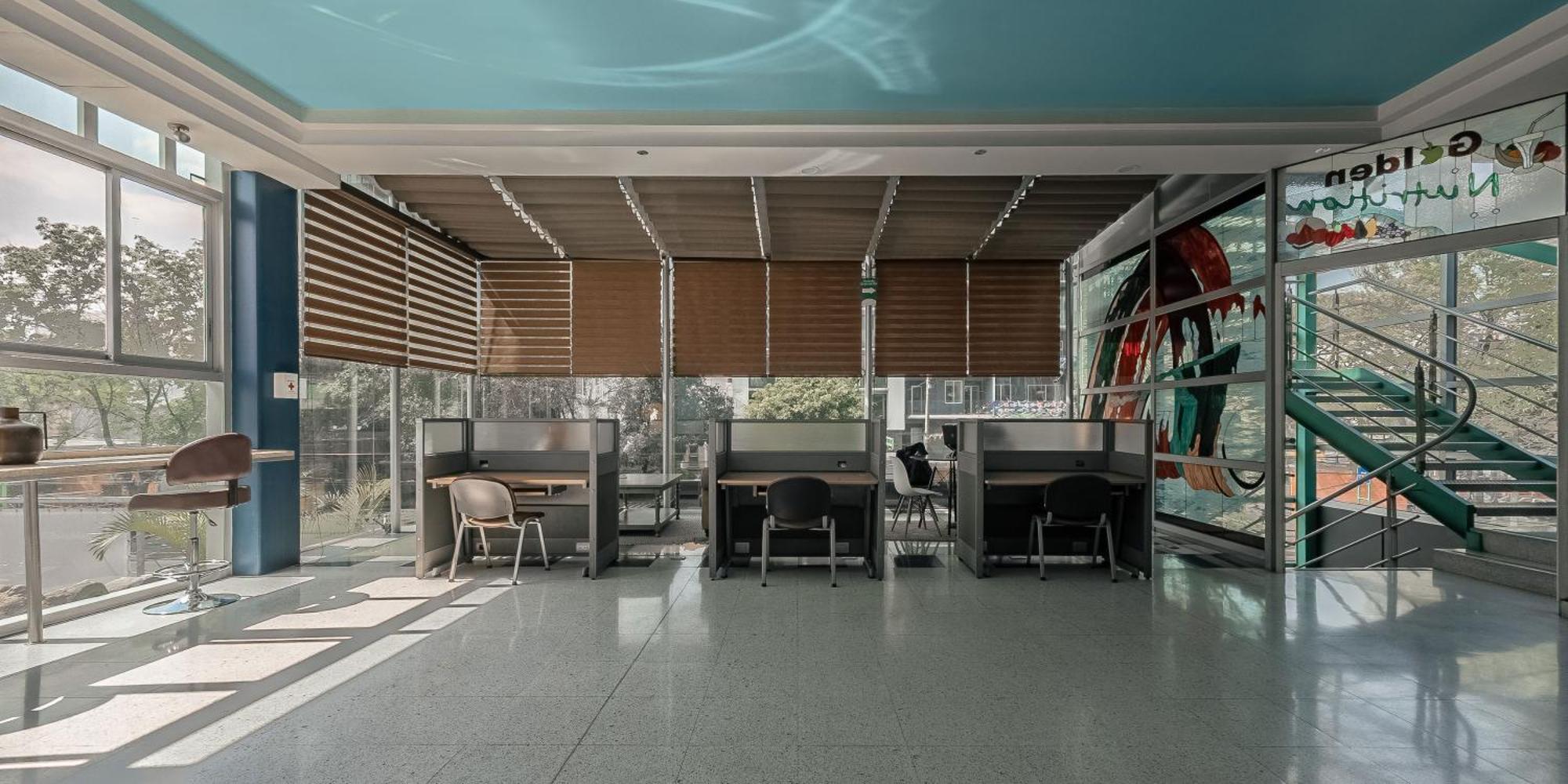 The Jungle Loft Tropical Comfort In A Centric Location With Kitchen Apartment *